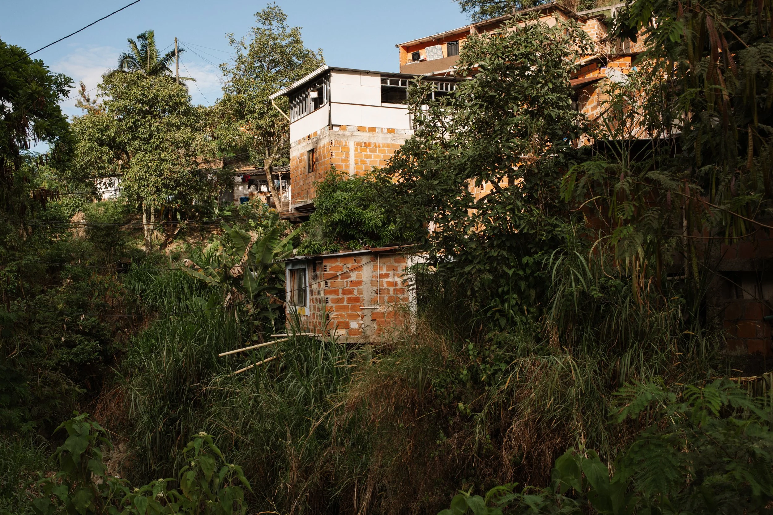 L1008013.jpg