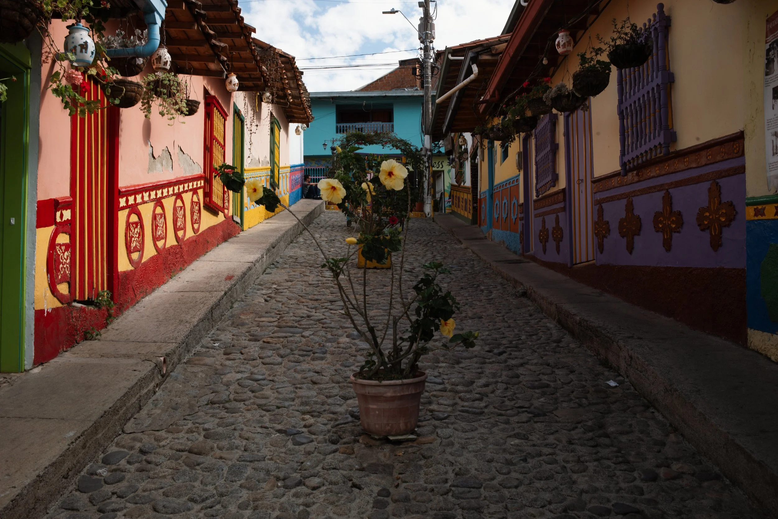 L1008490.jpg