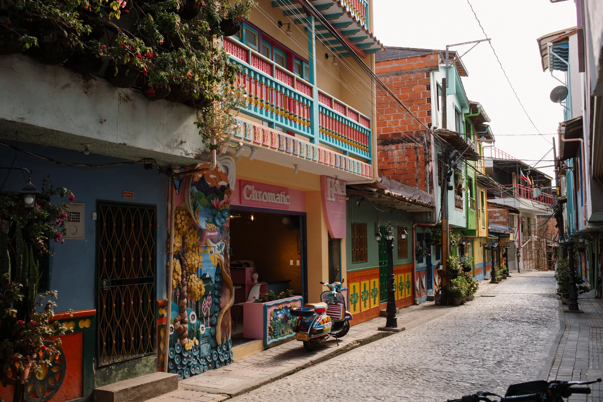 L1008502.jpg