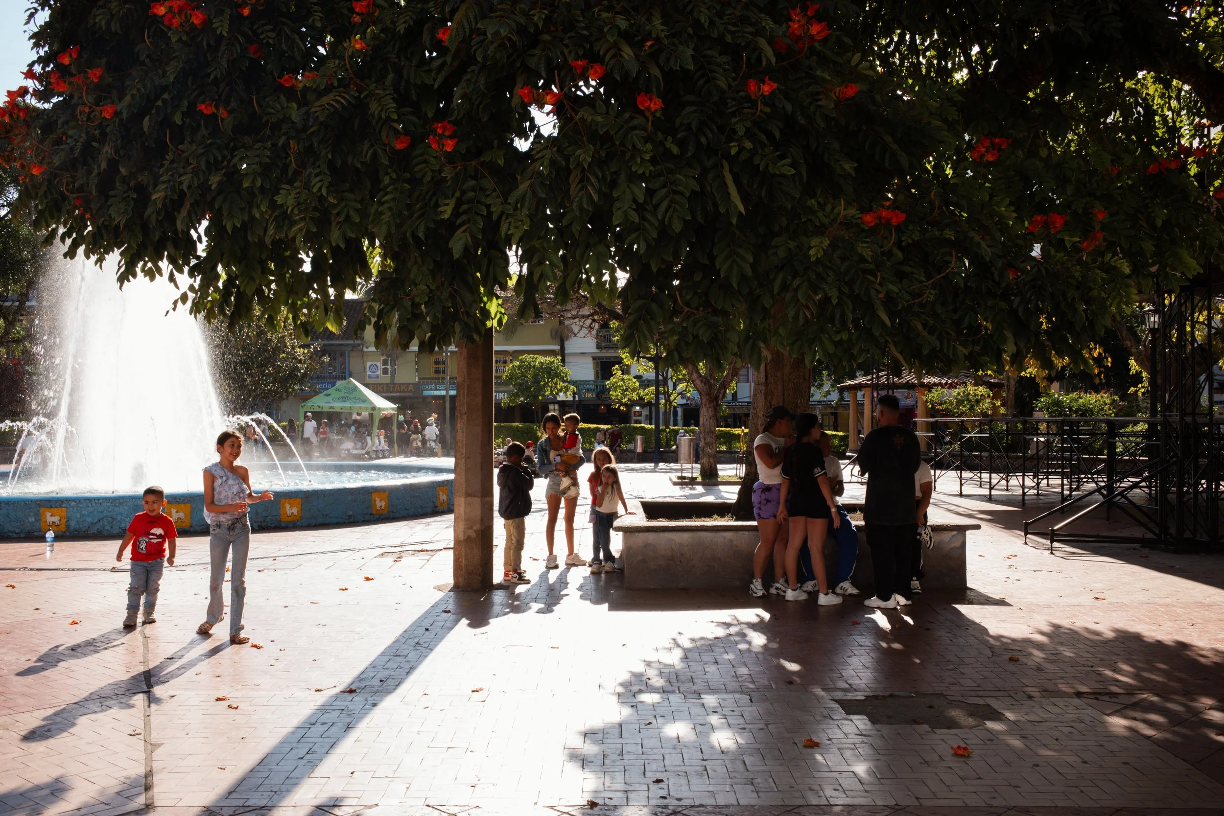 L1008555.jpg