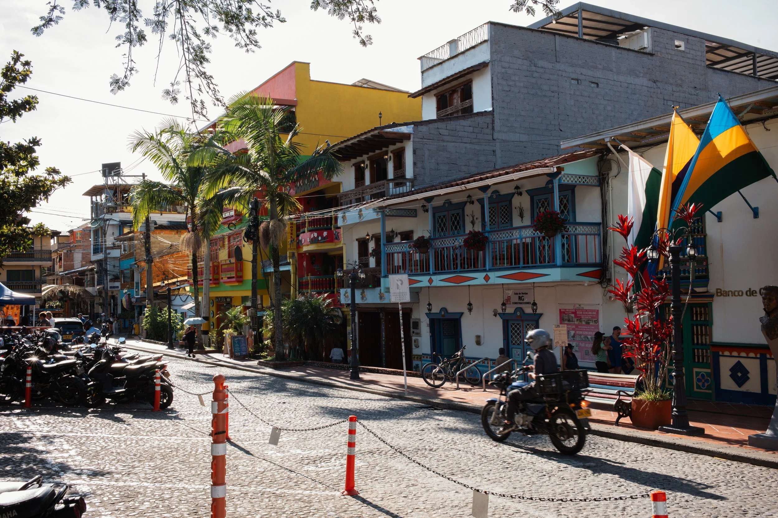 L1008564.jpg