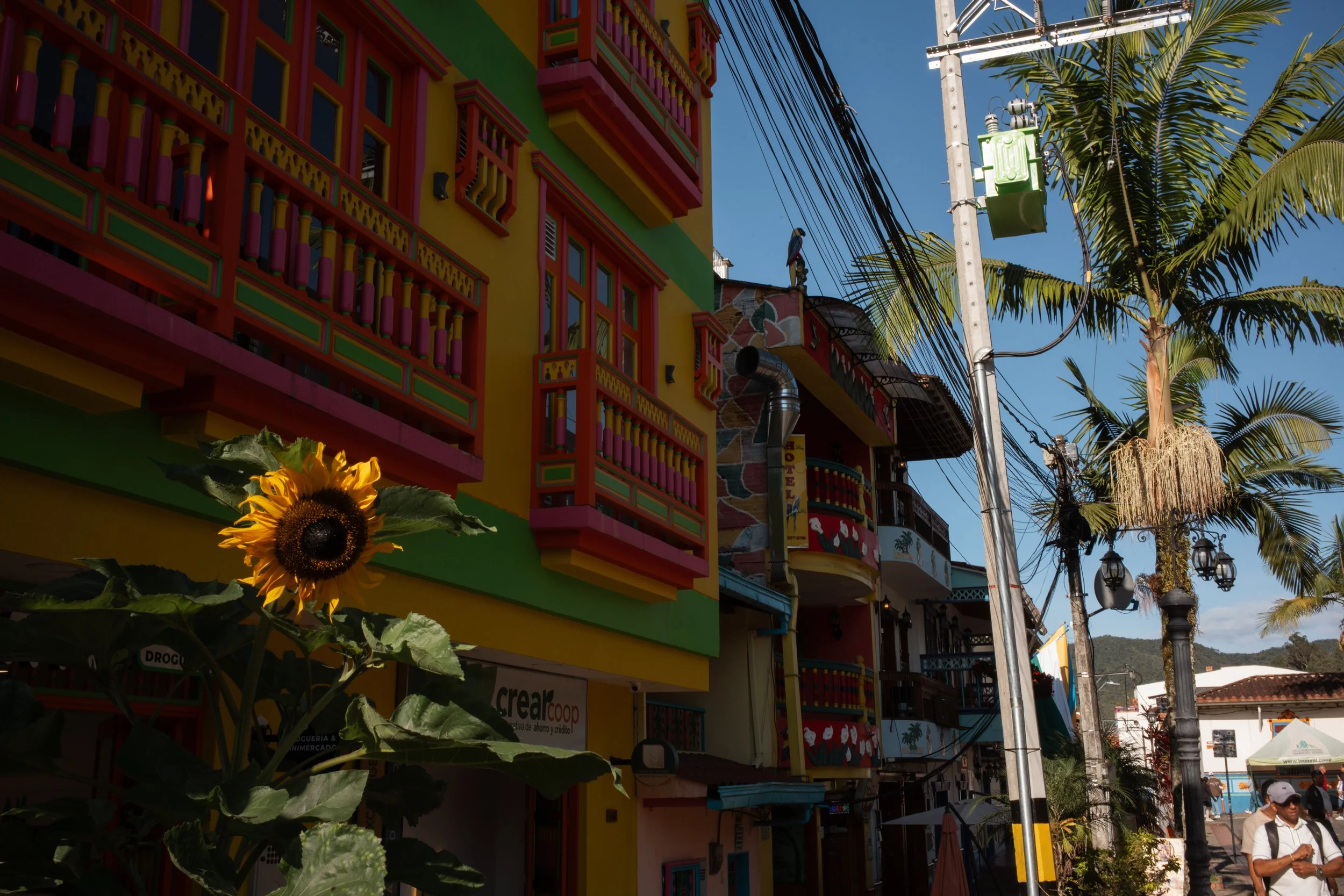 L1008573.jpg