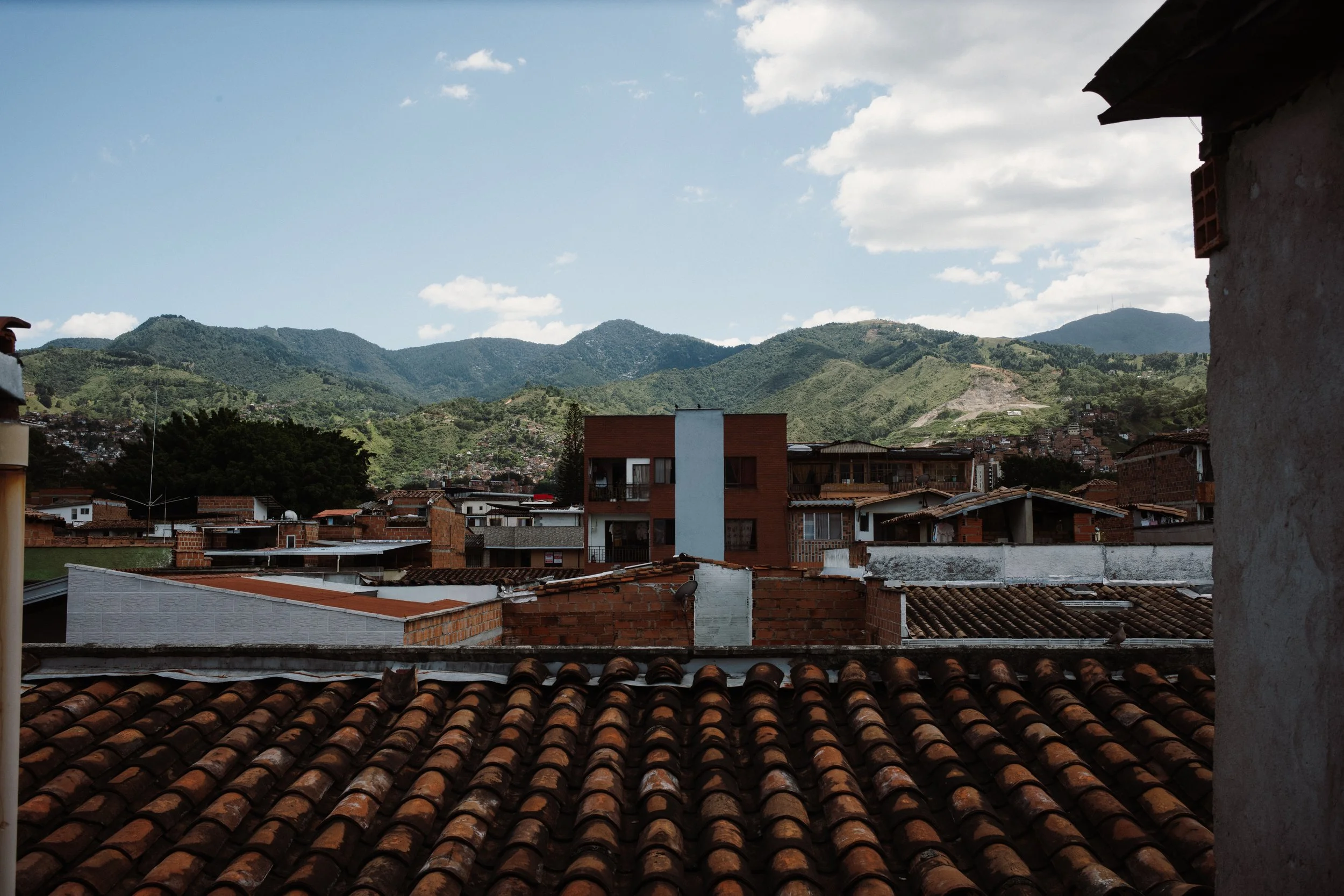 L1007375.jpg