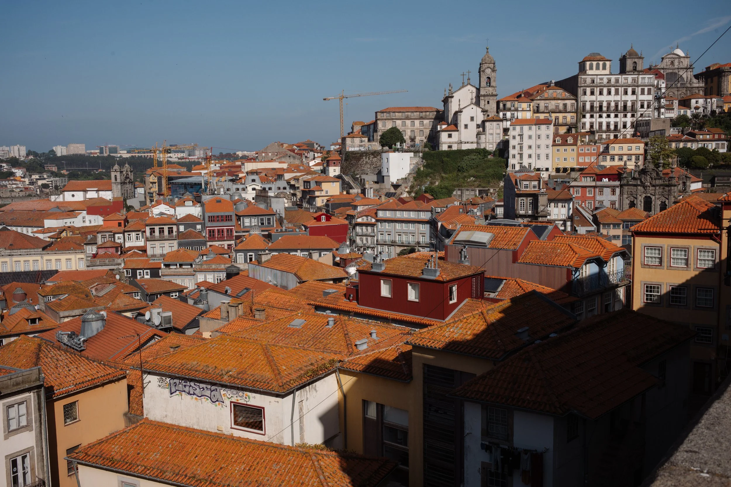 L1005173.jpg