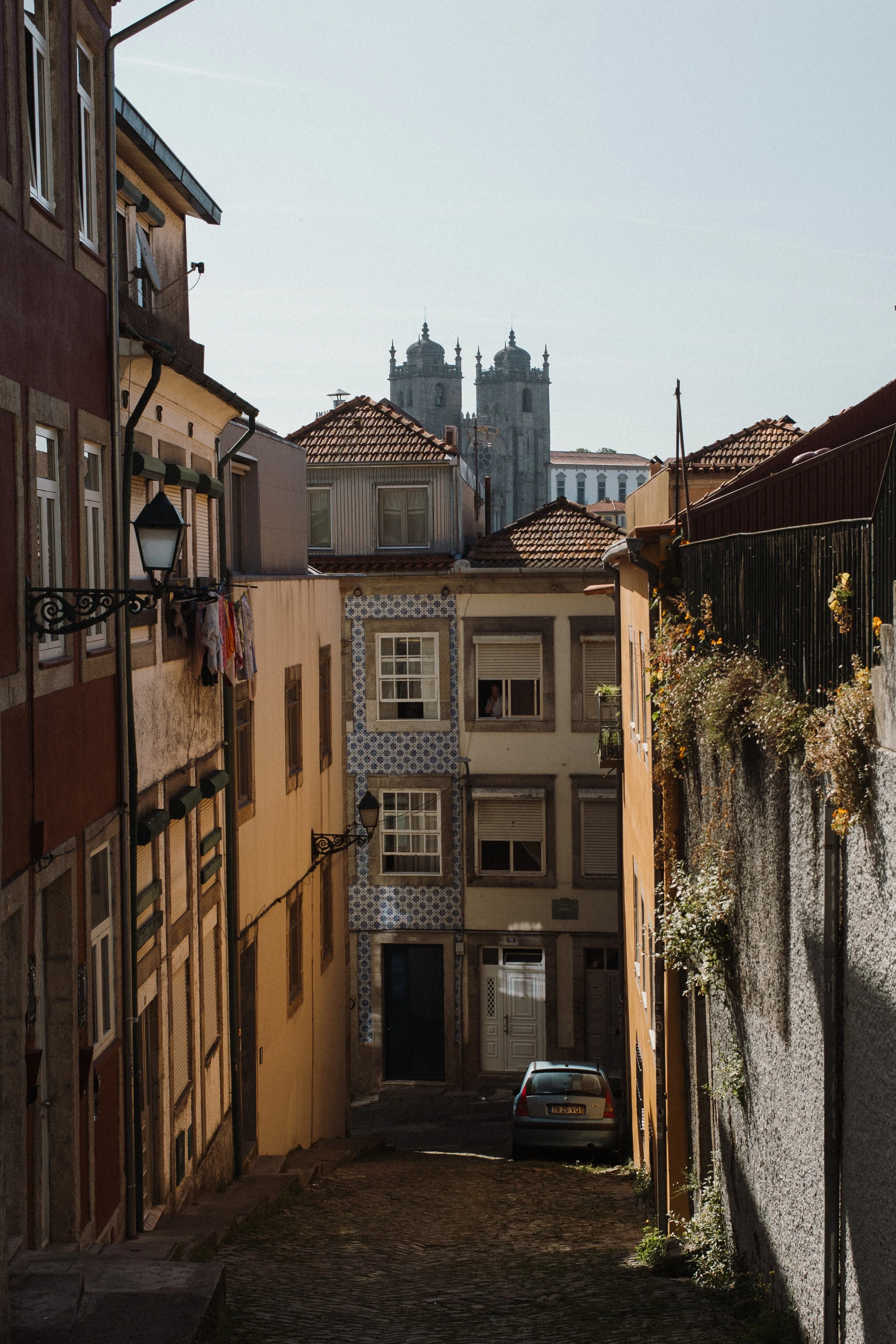 L1005184.jpg
