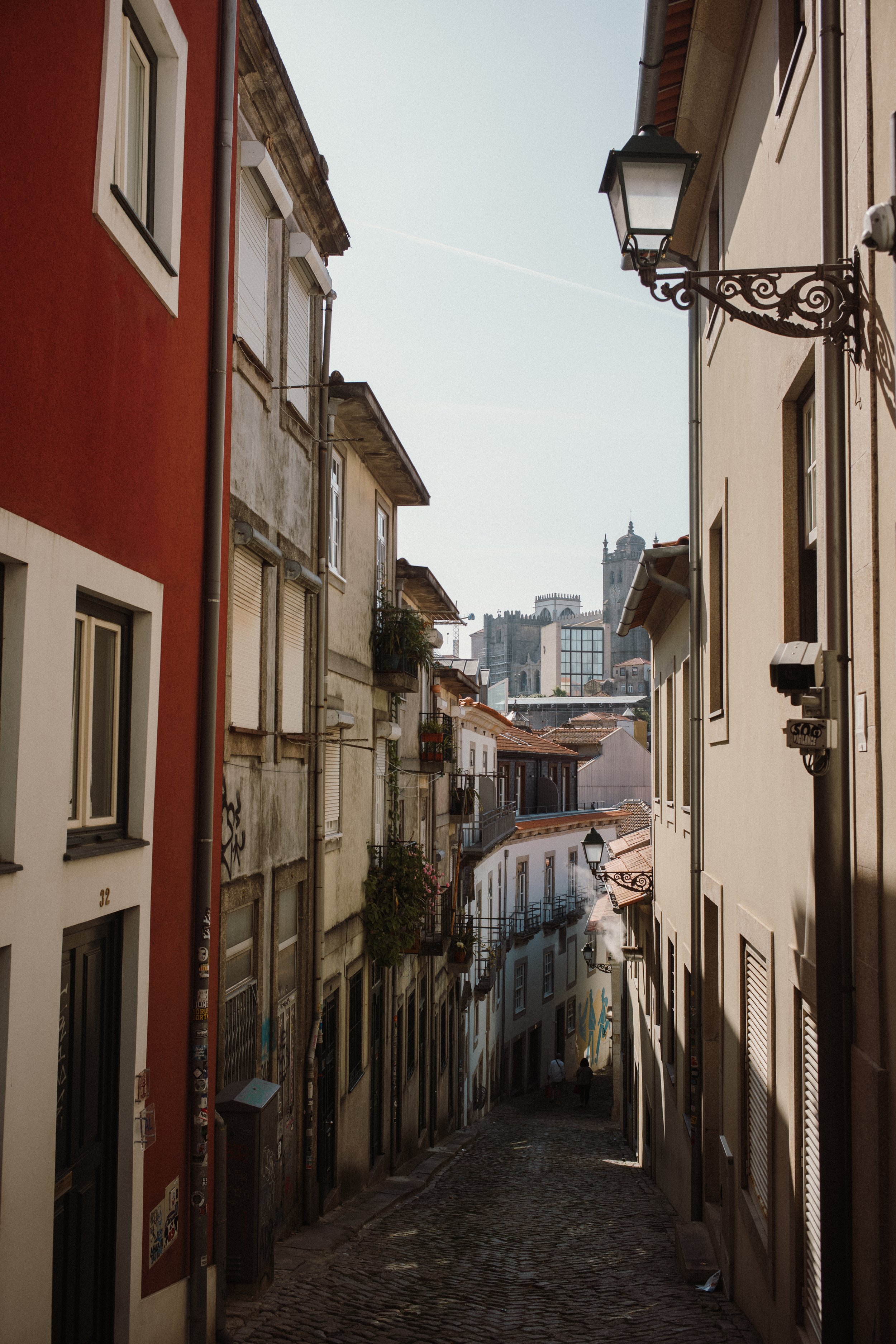 L1005186.jpg