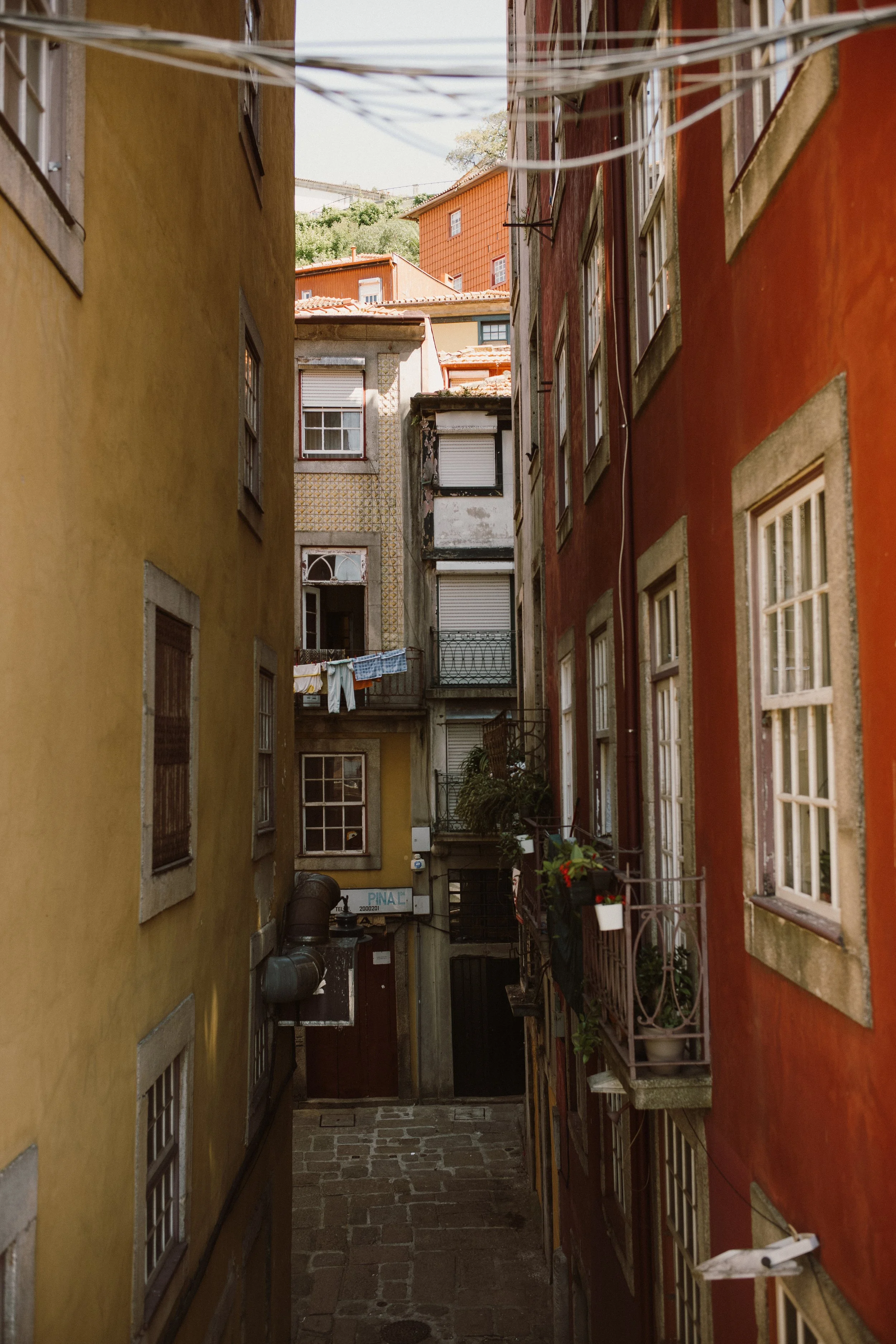 L1005218.jpg