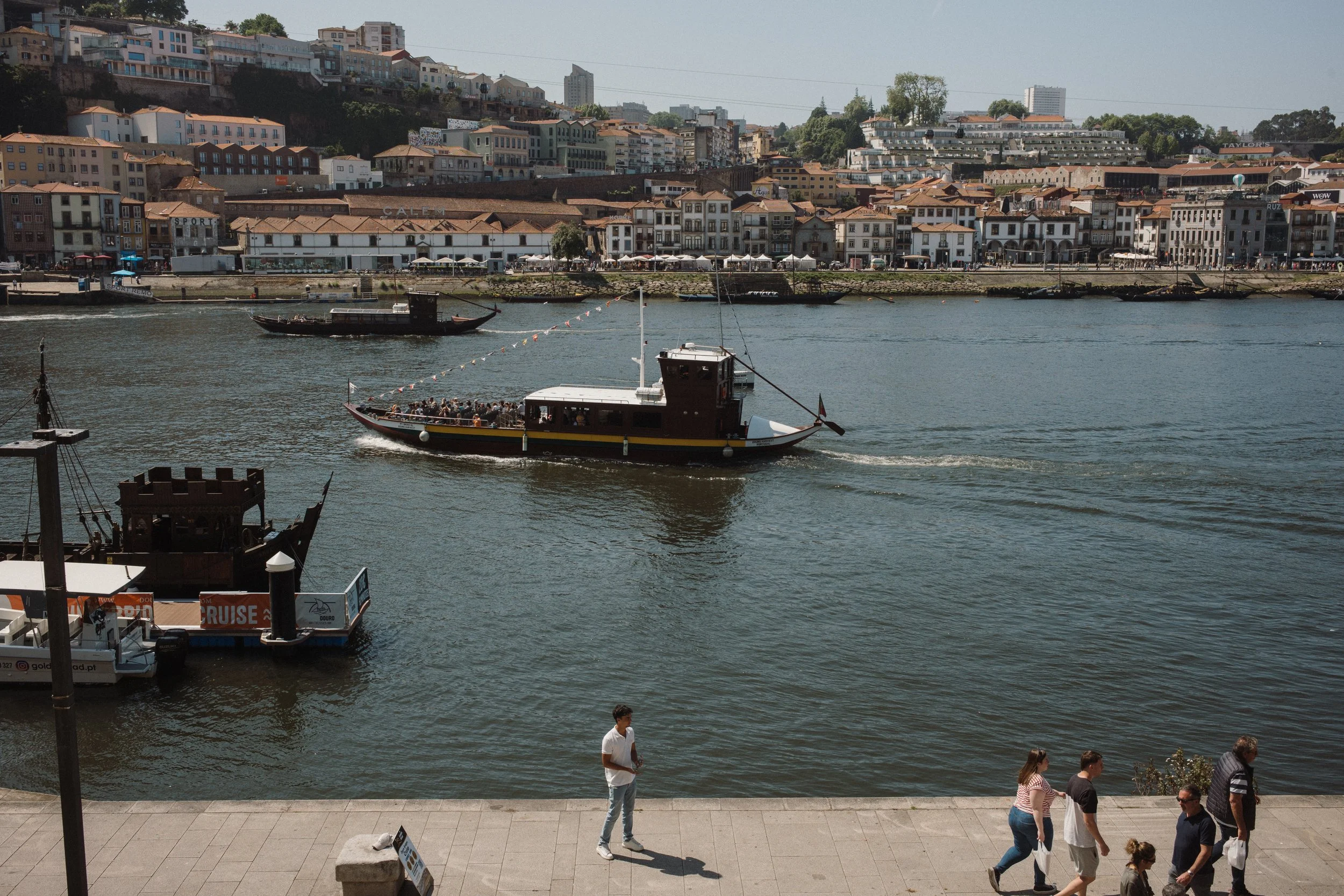 L1005220.jpg