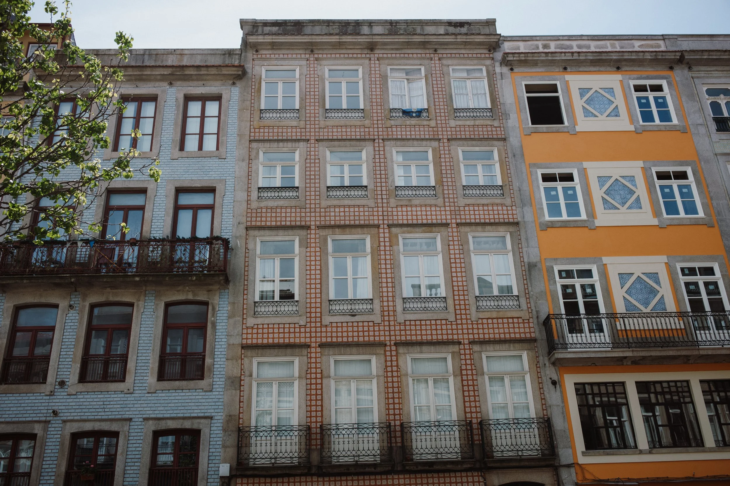 L1005239.jpg