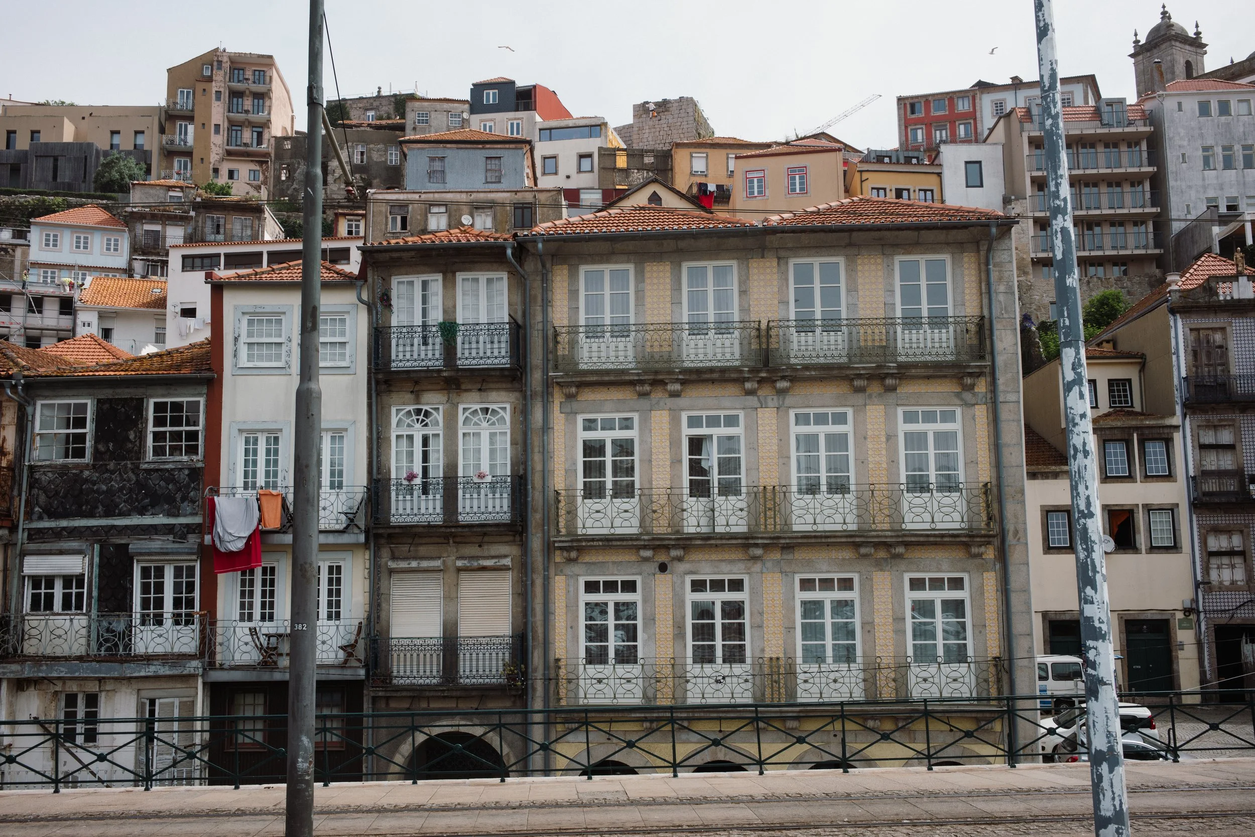 L1005288.jpg