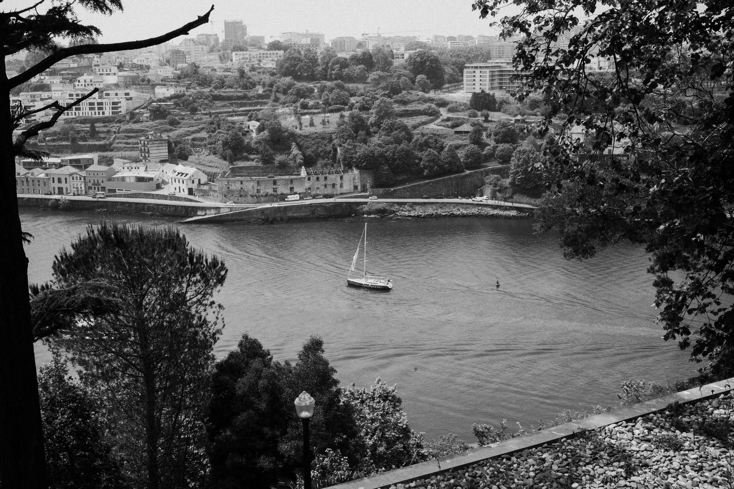 L1005318.jpg