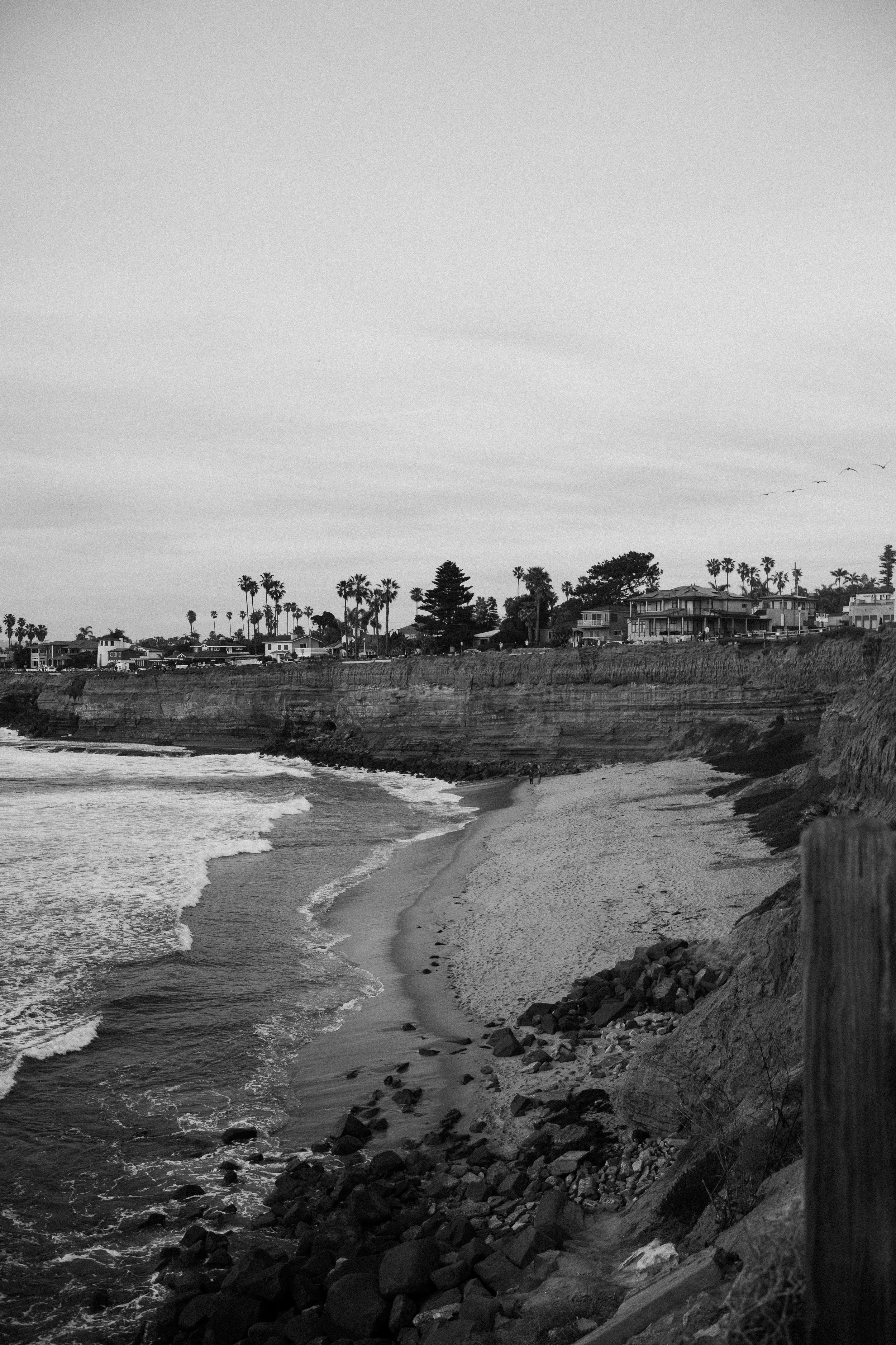L1004634.jpg