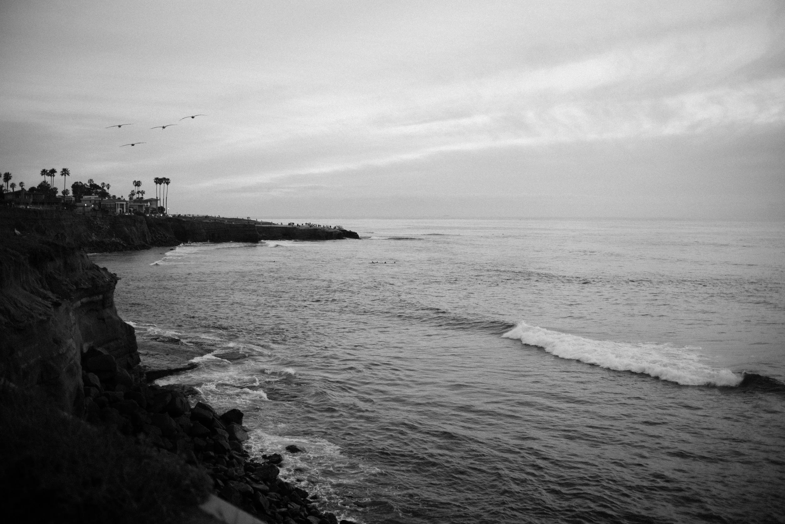 L1004662.jpg