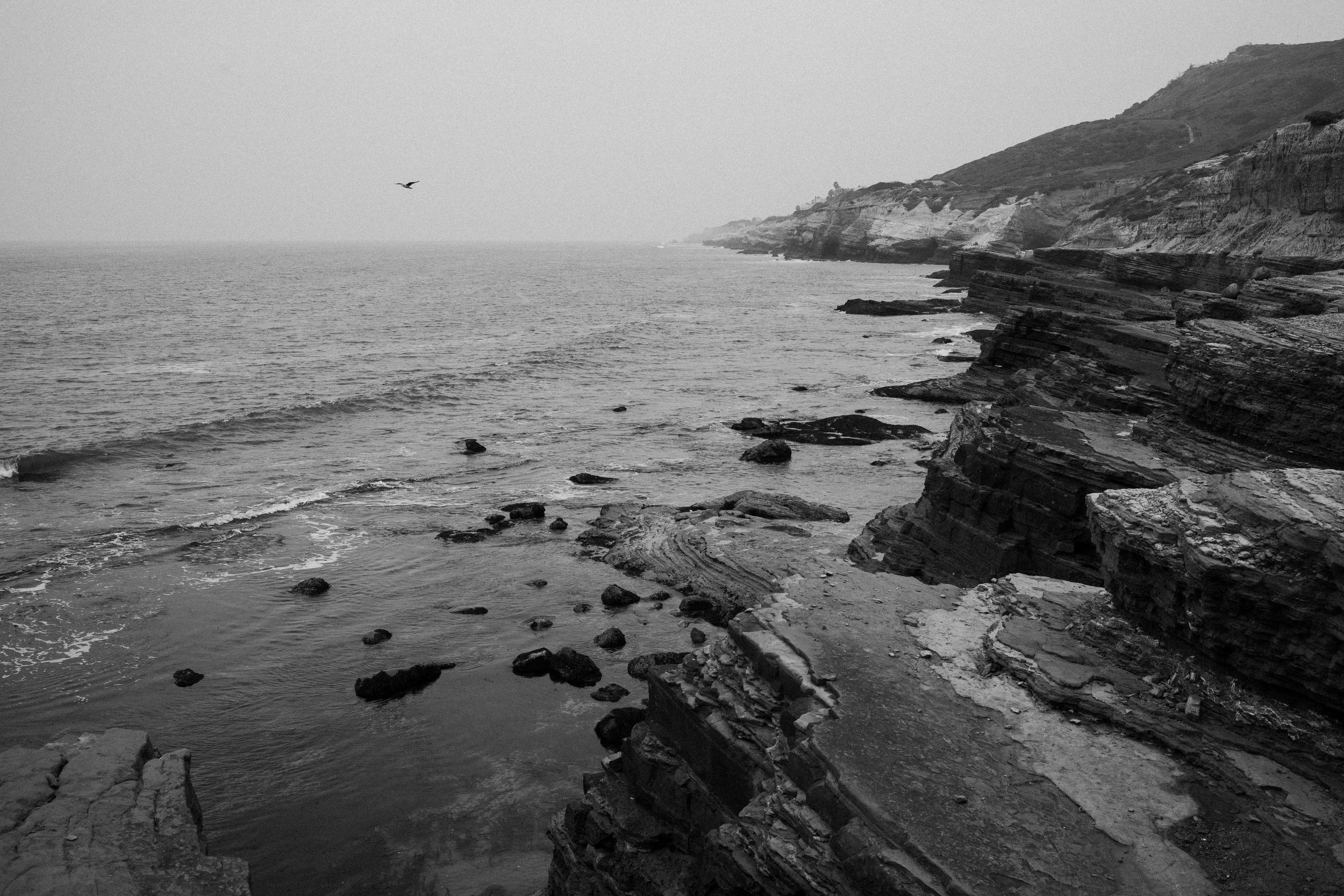 L1006887.jpg
