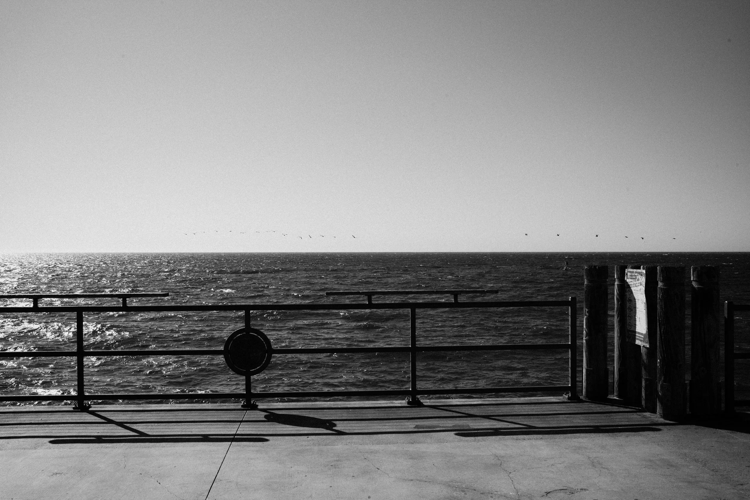 L1003946.jpg