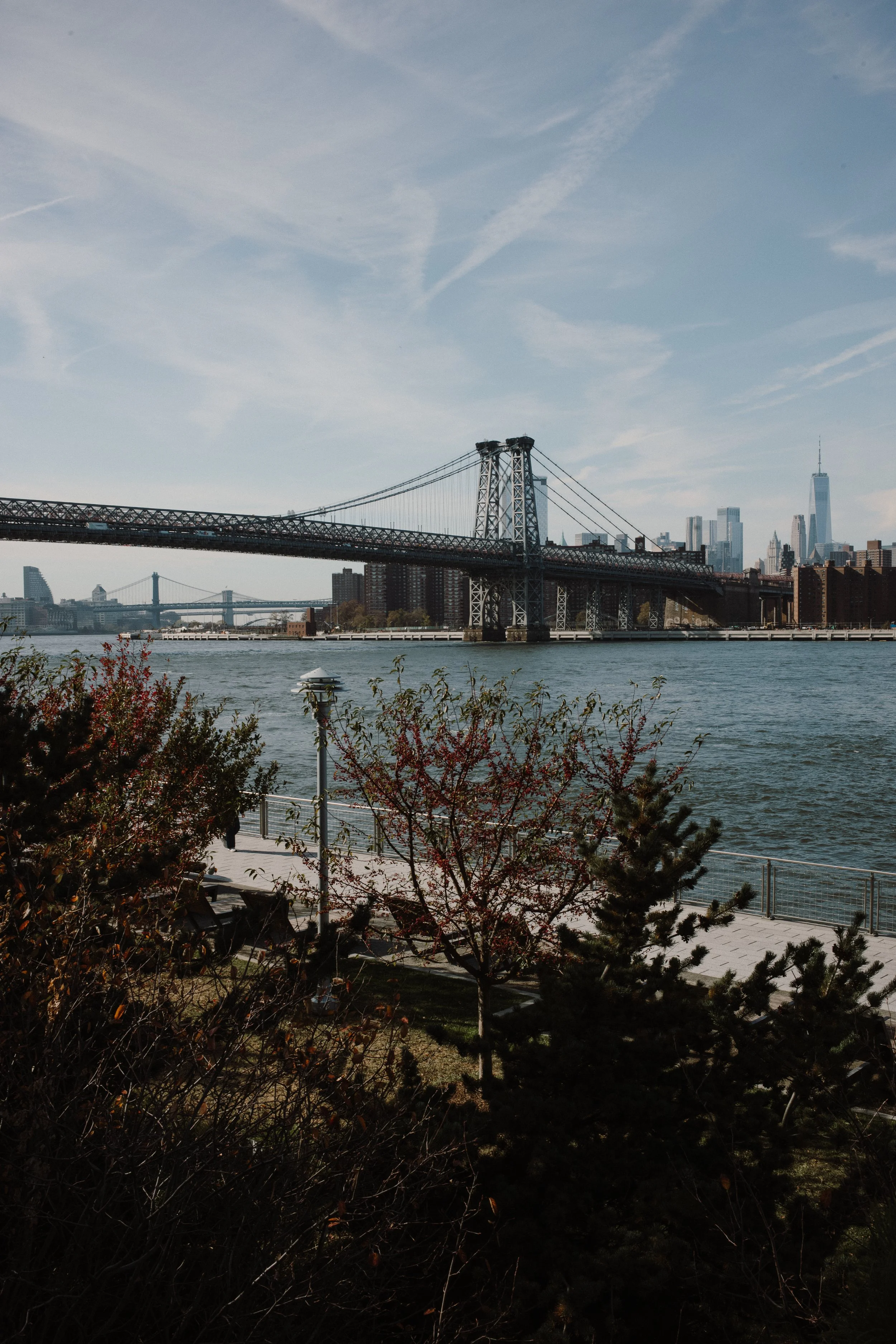 L1004037.jpg