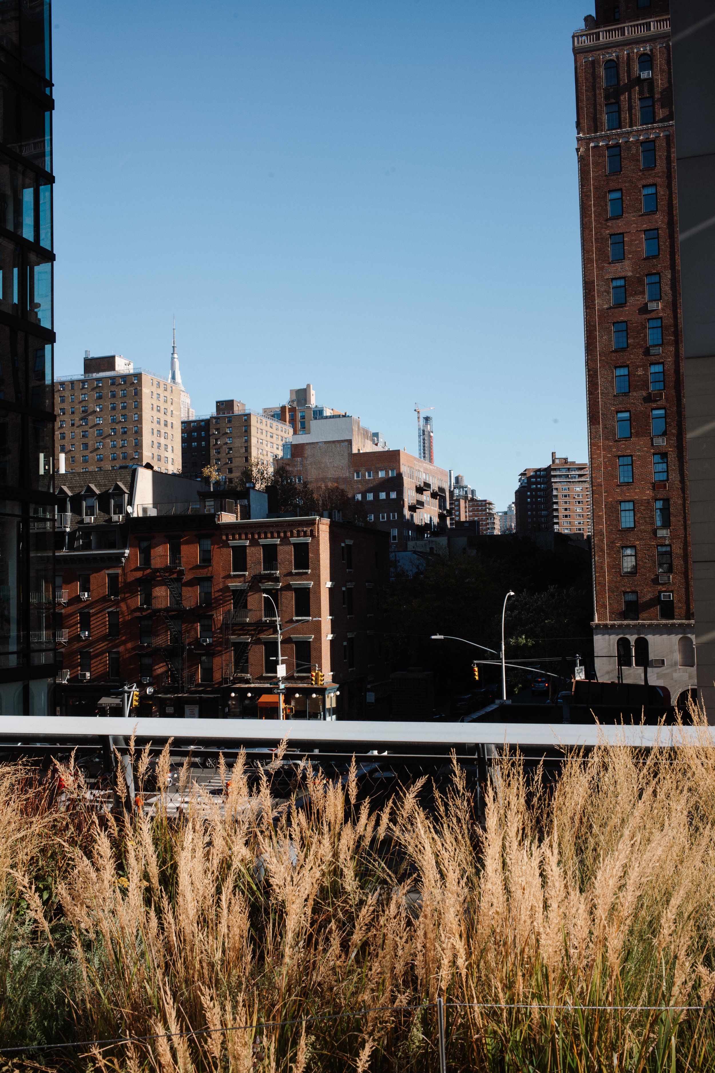 L1004082.jpg