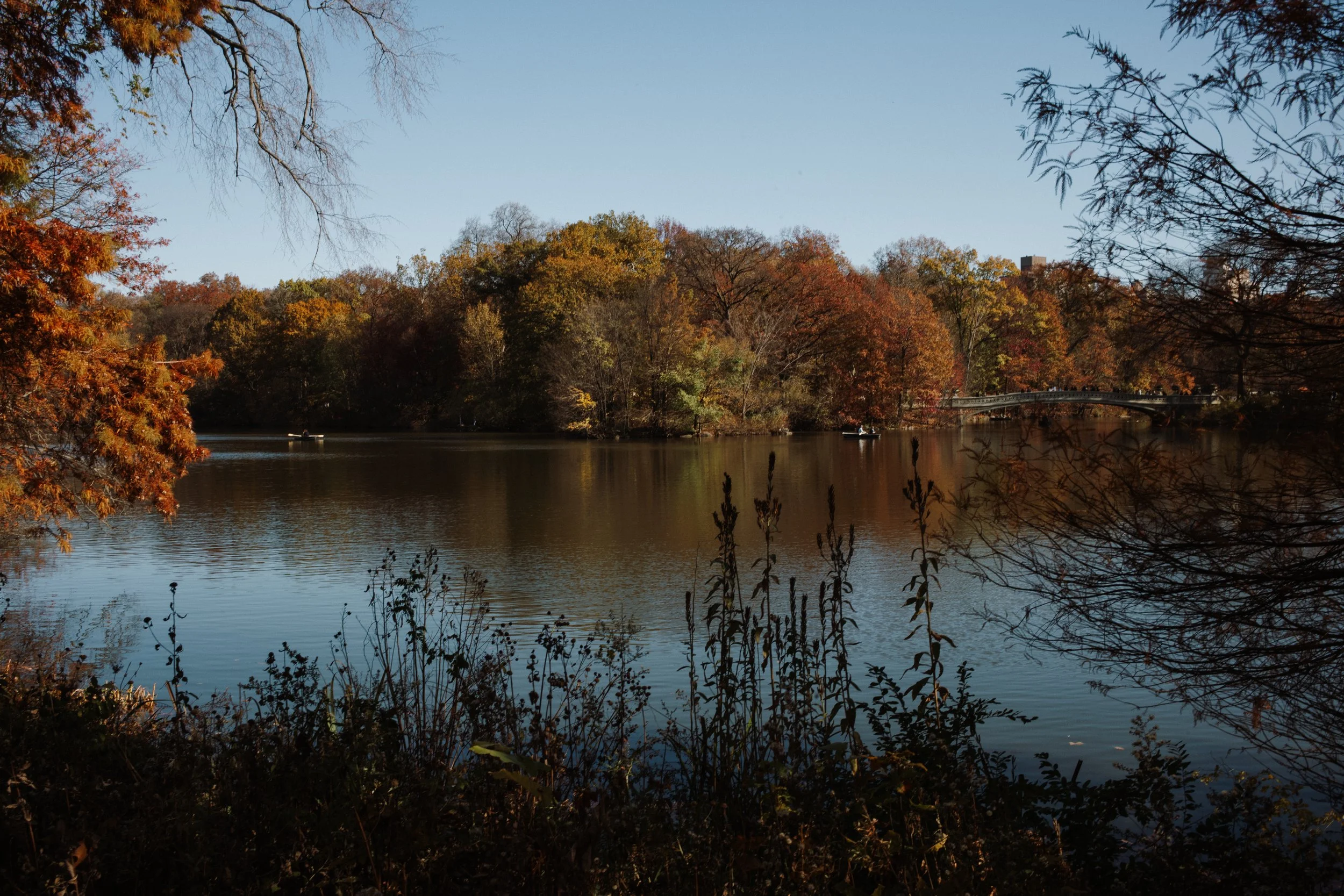 L1004150.jpg