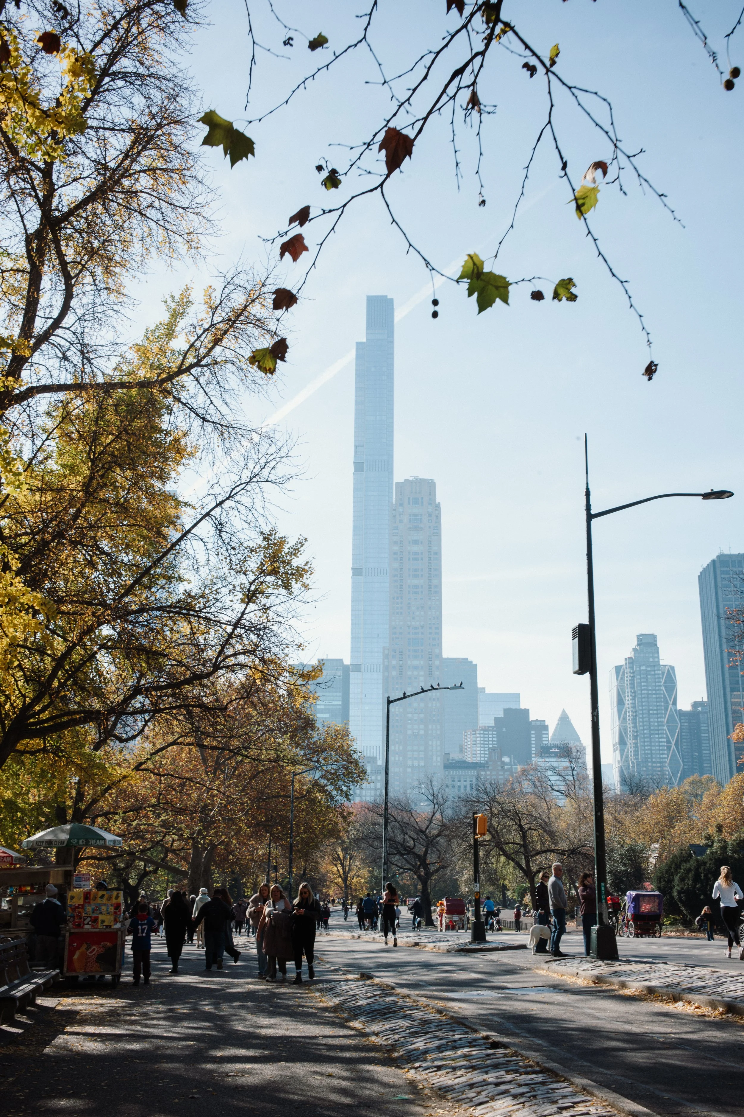 L1004156.jpg