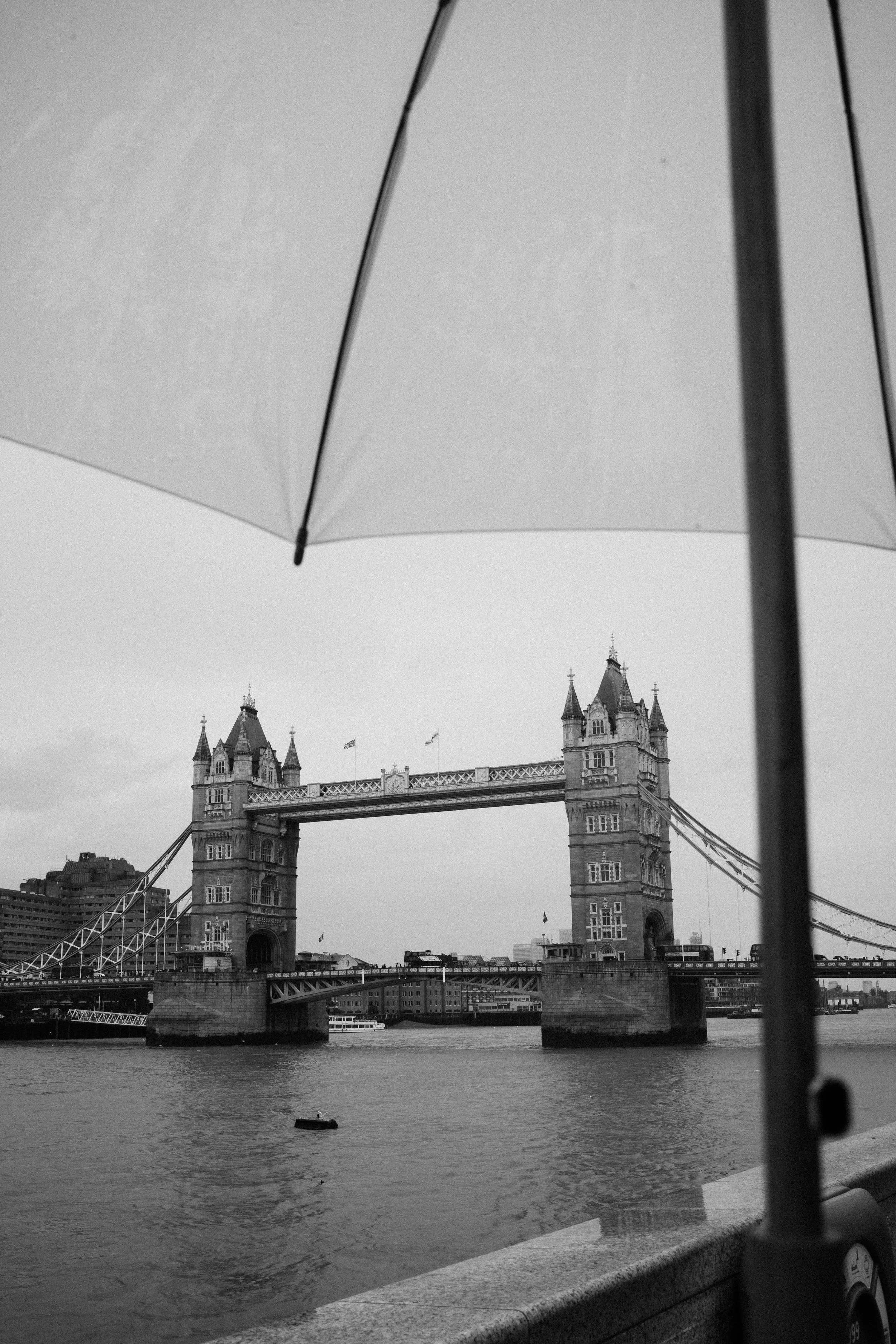 L1001508.jpg