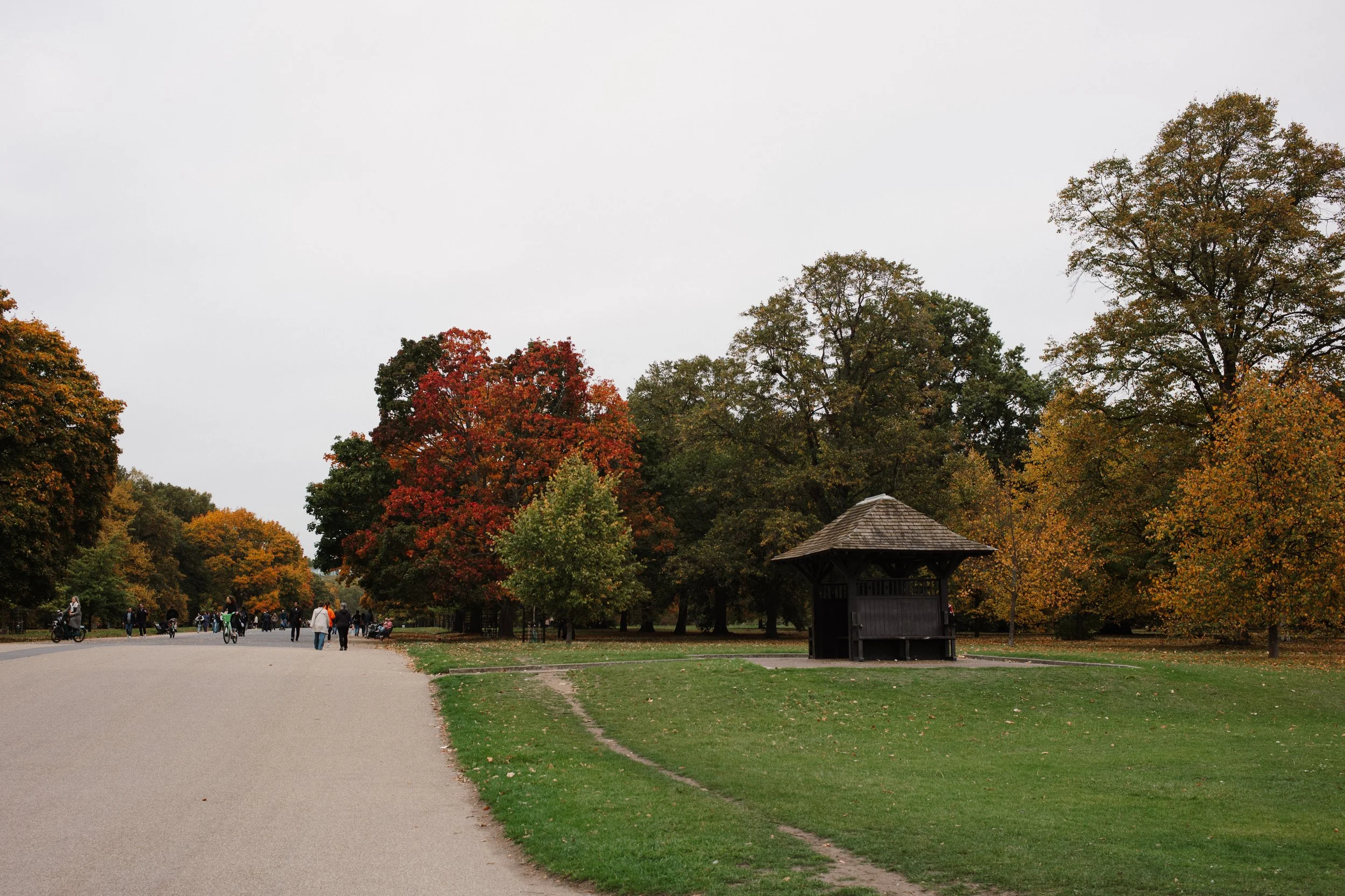 L1006551.jpg