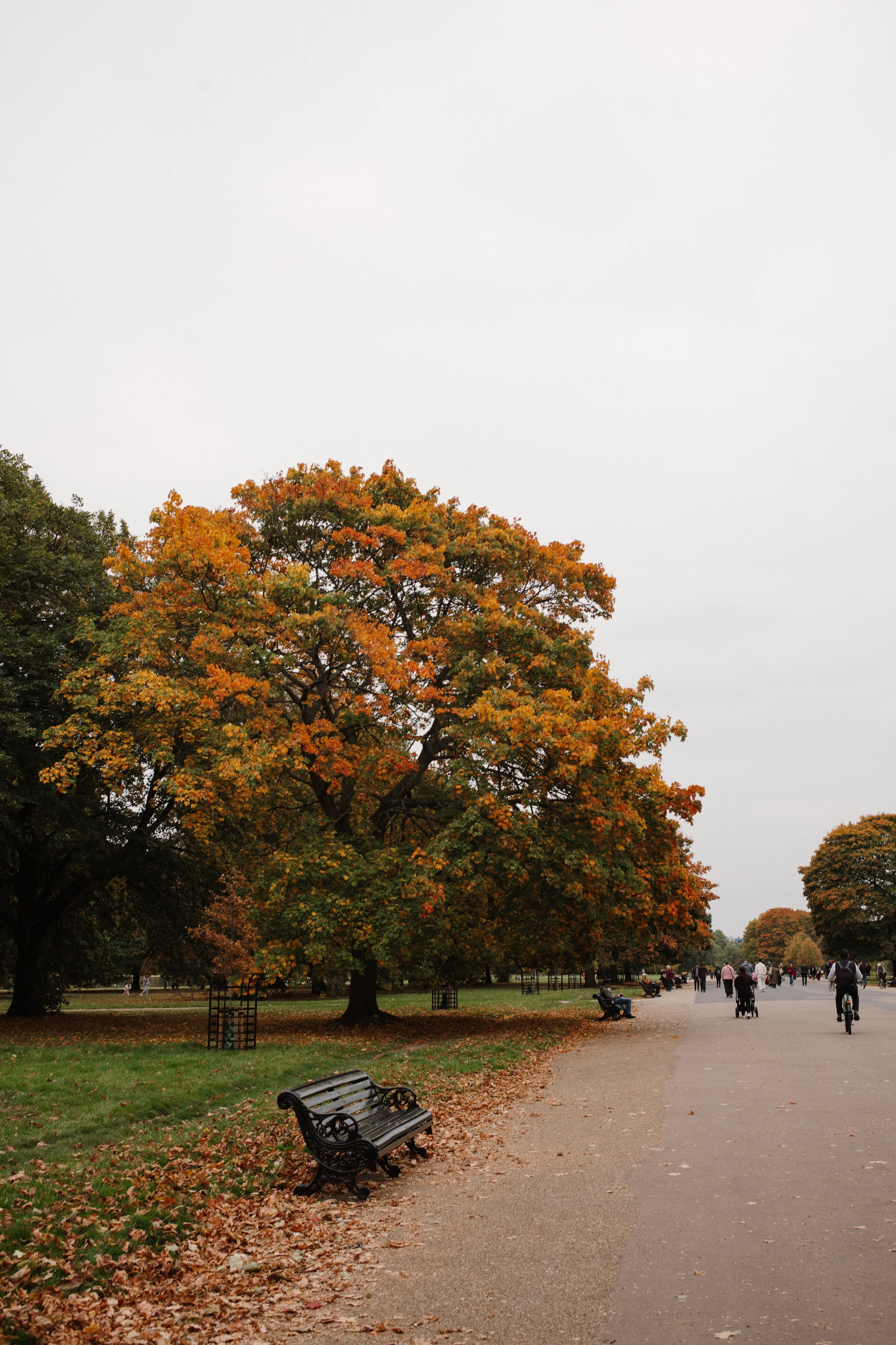 L1006553.jpg