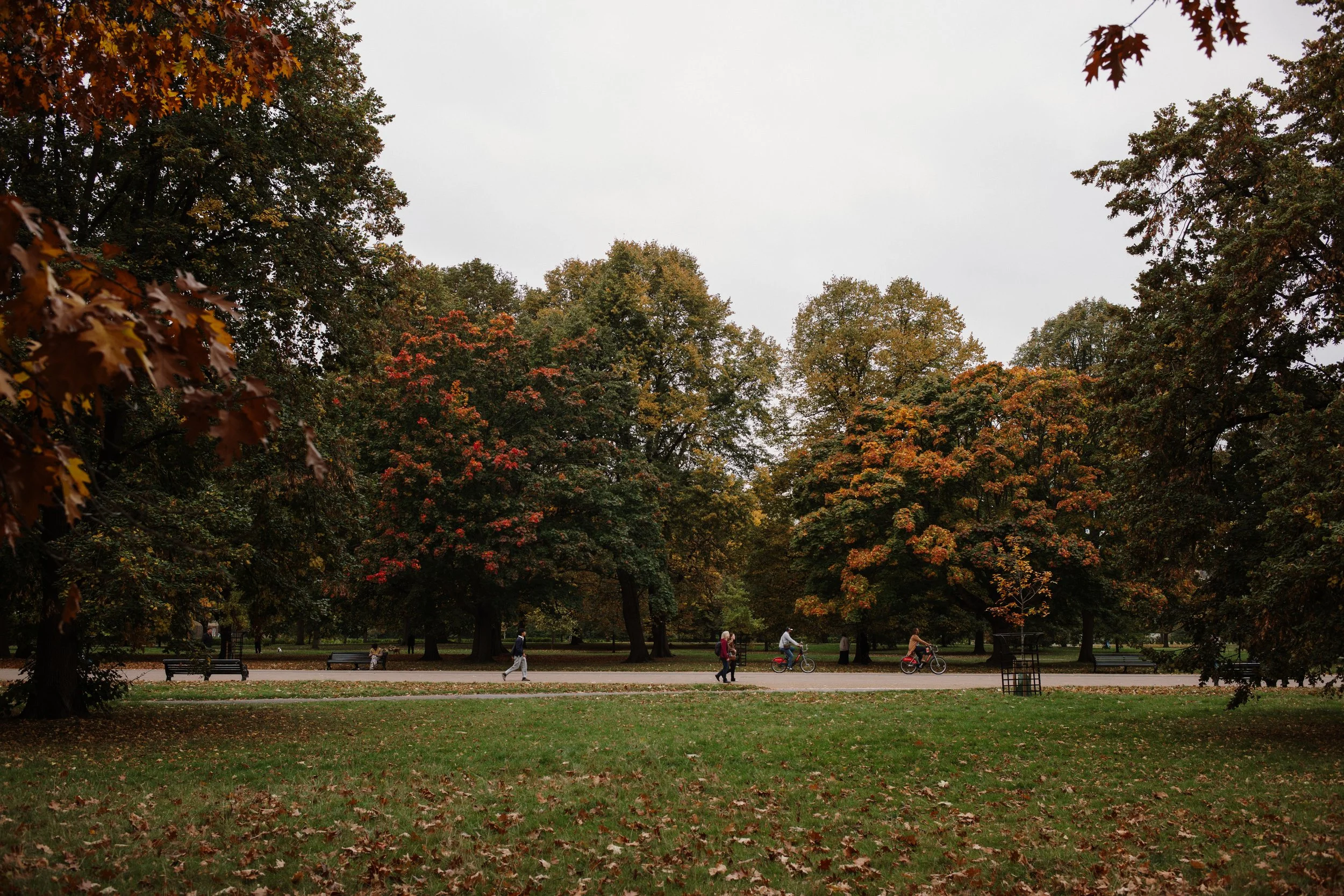 L1006556.jpg