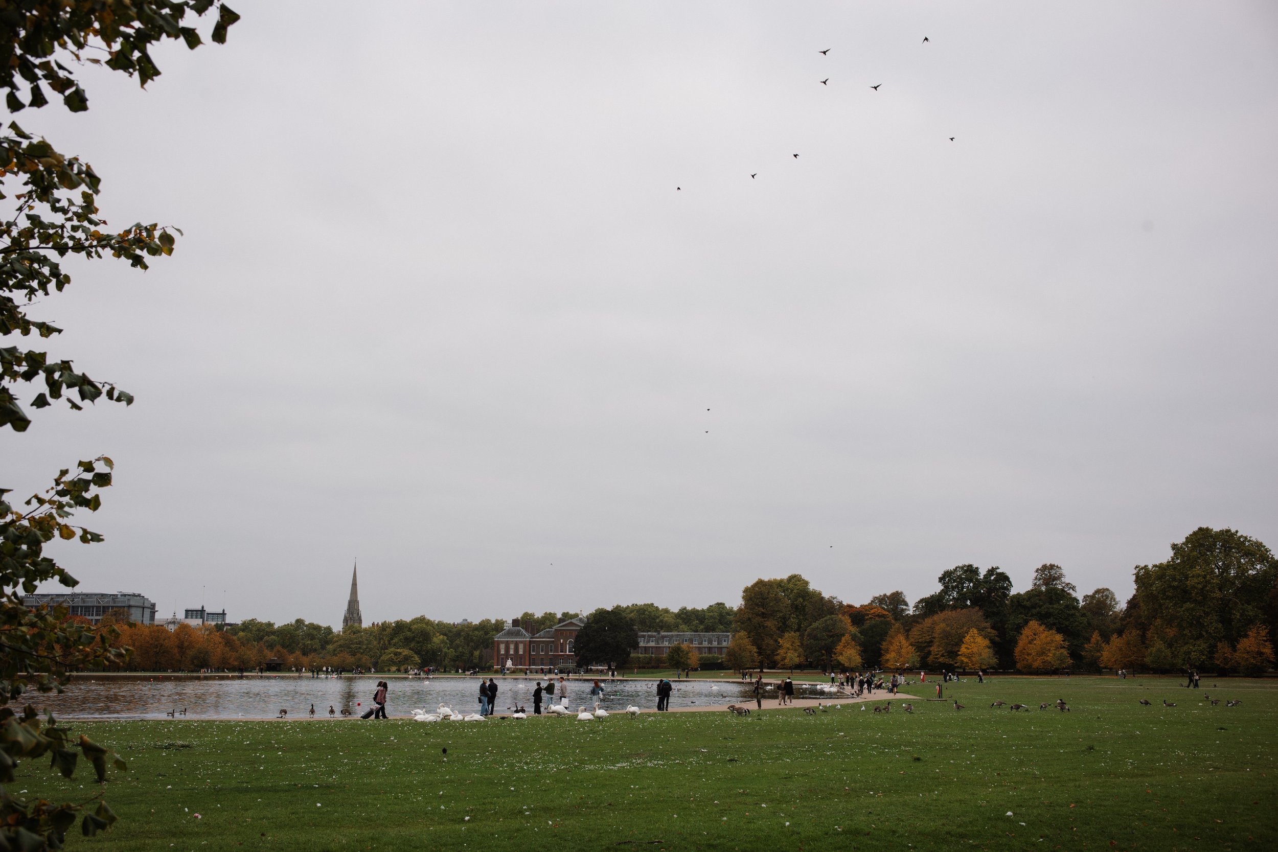 L1006565.jpg