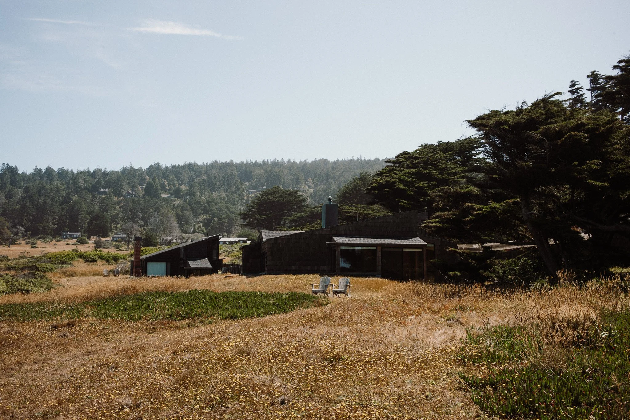 L1008707-2.jpg