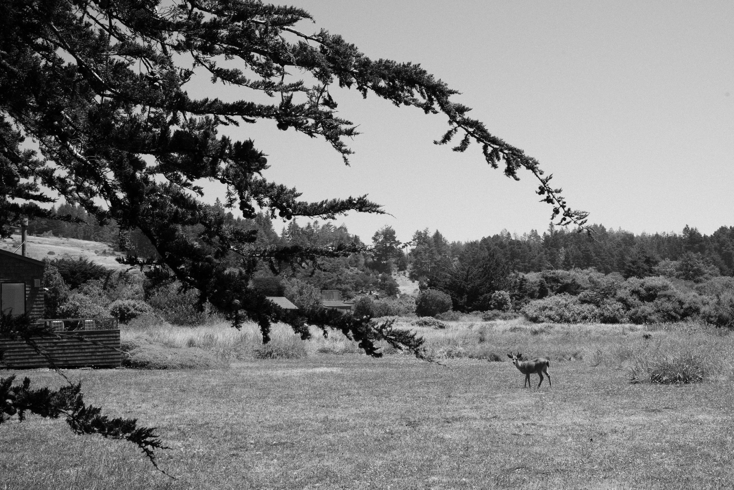 L1008785.jpg