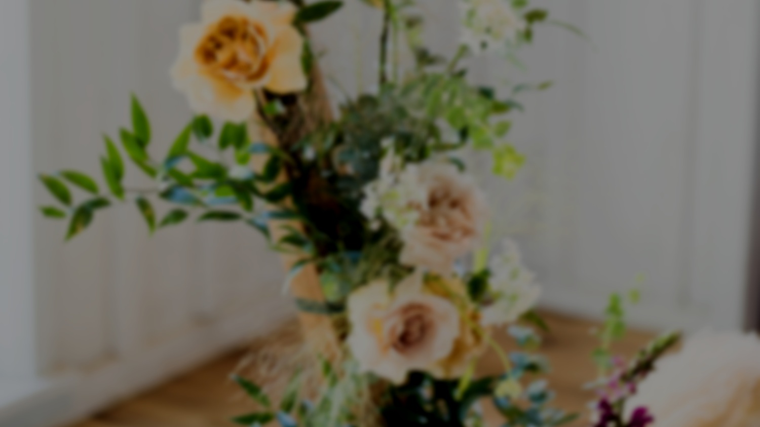 Creative+Law+Shop+Content+%28web+quality%29-131.jpg