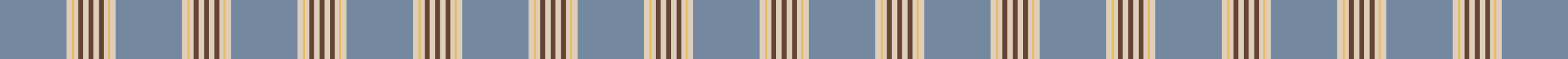 CASA BY CRAFT brand stripe