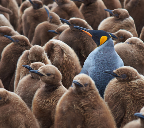 stand out.jpg