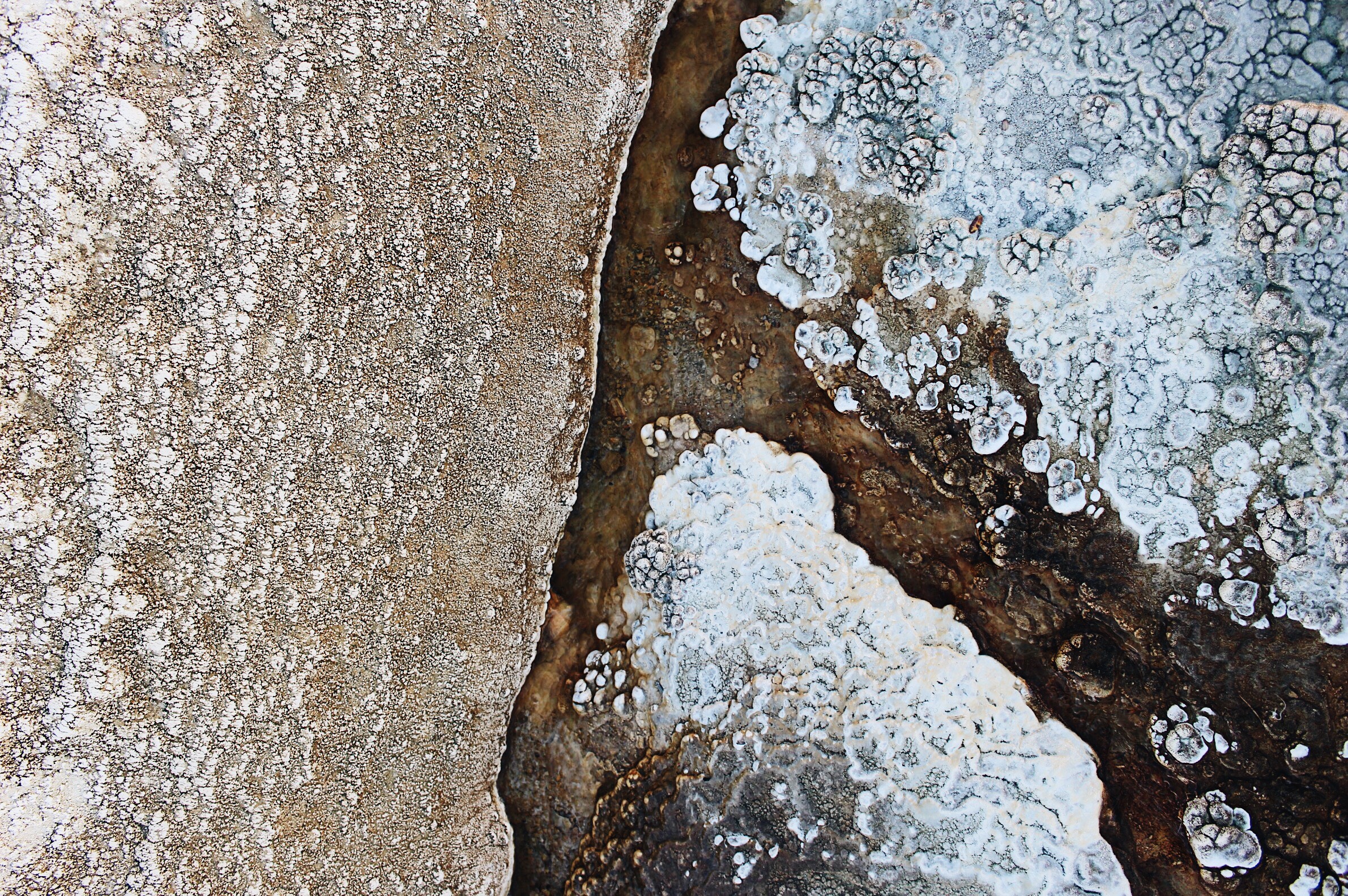  Textures - Hierve el Agua 