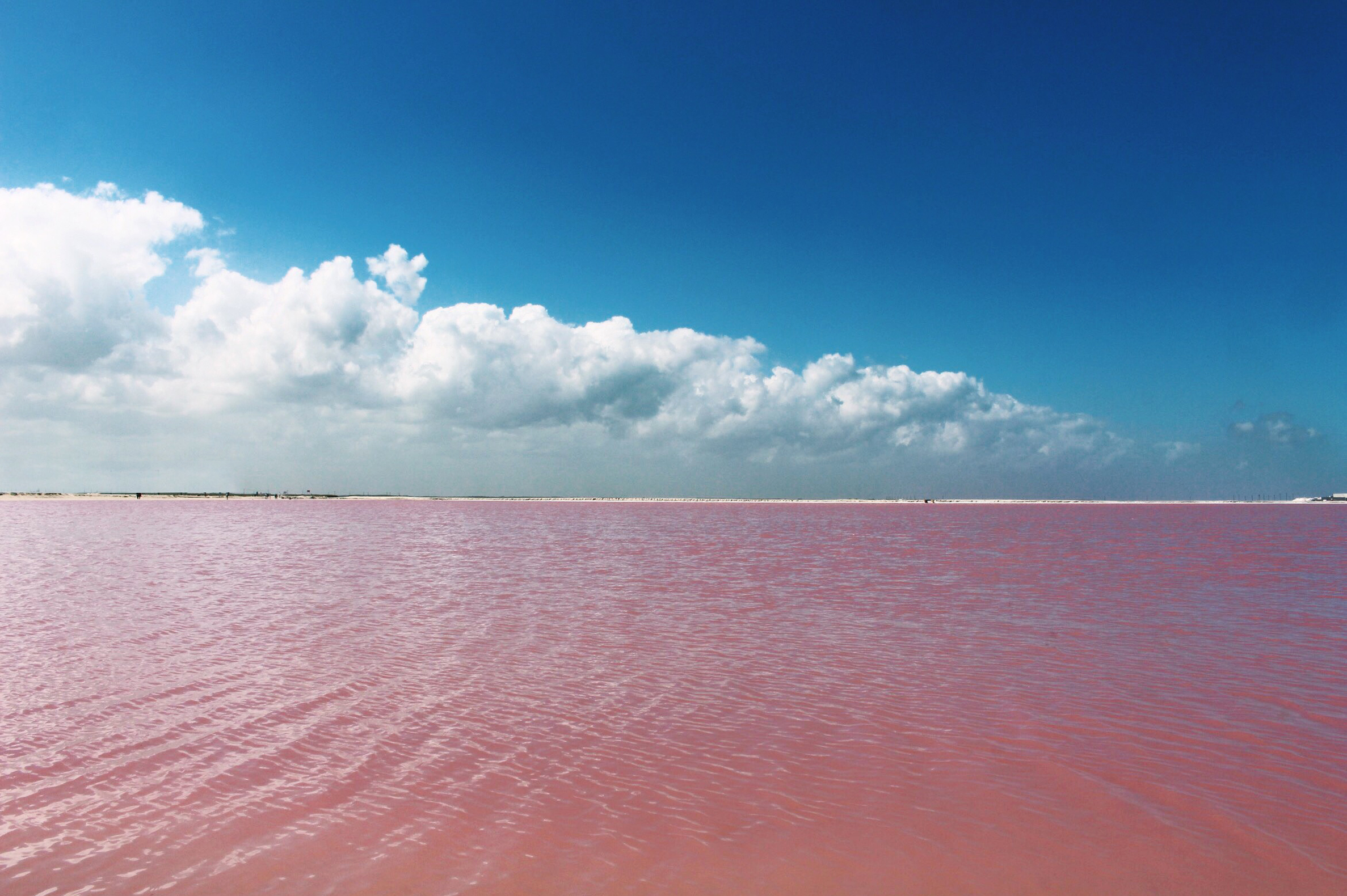  Reality Dreamland - Las Coloradas 