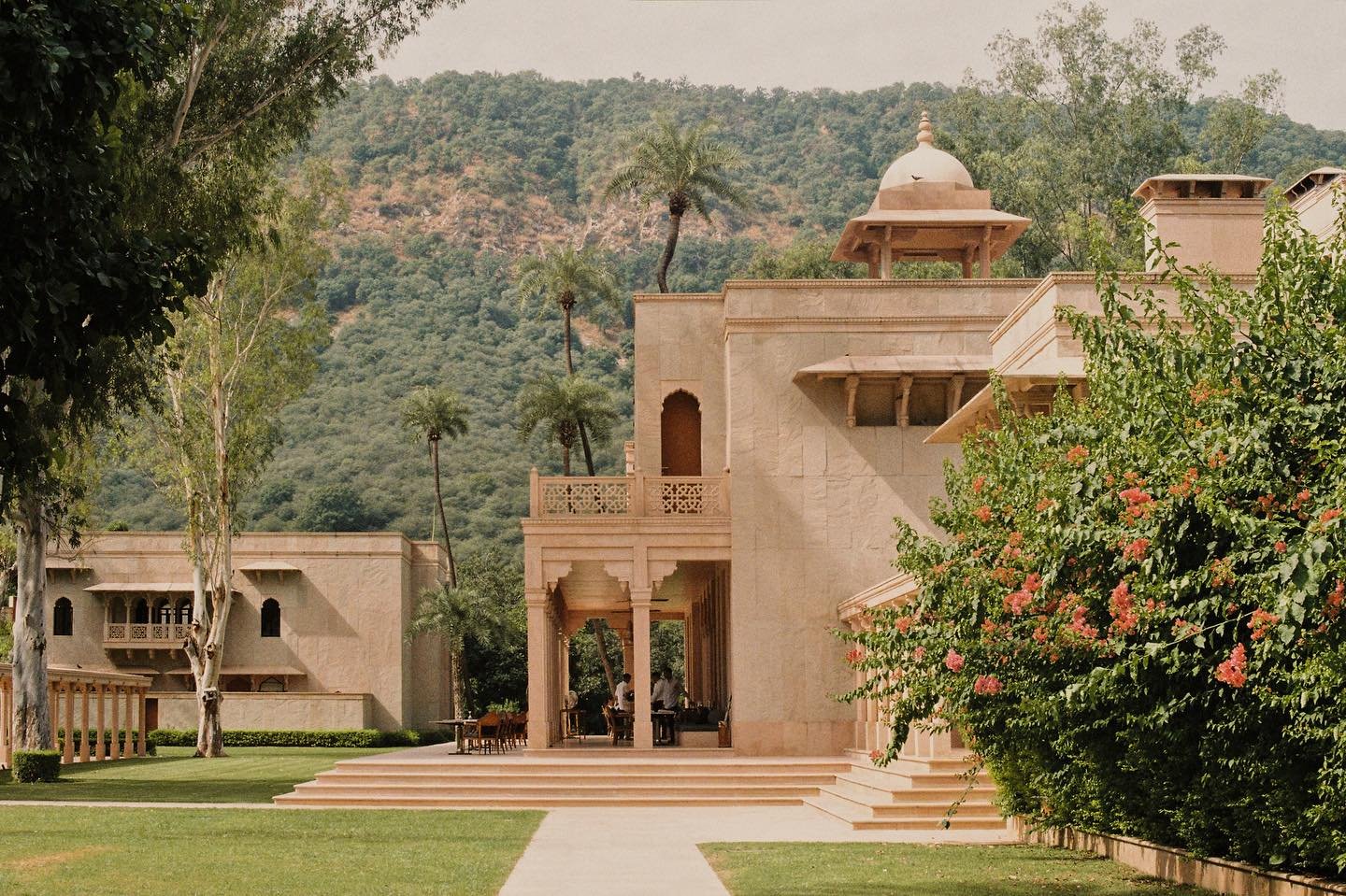 An analog diary of India 🎞️🇮🇳 

#35mmfilm #travelindia #analog #rajsthan #jaipur #pushkar #jodhpur