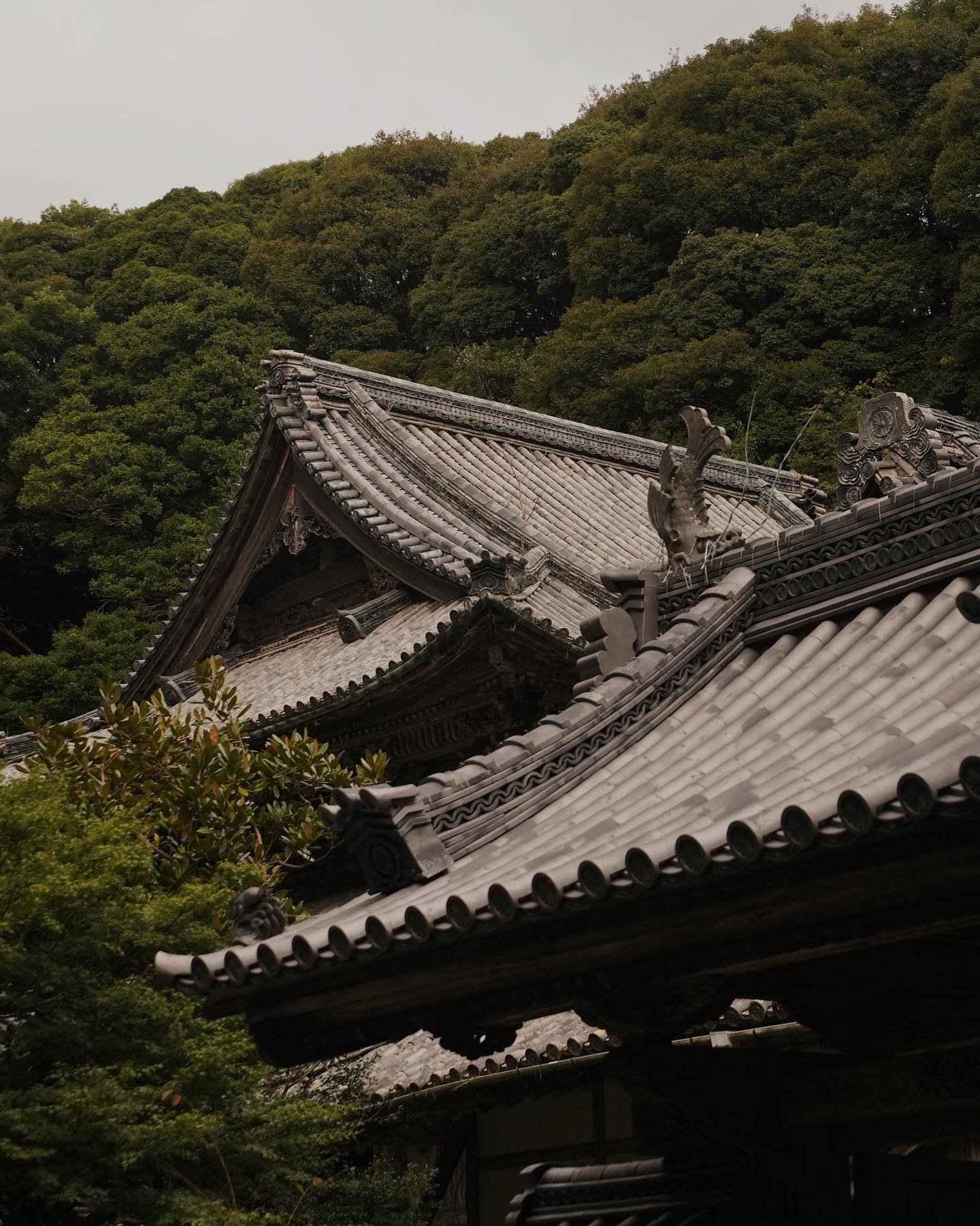Ago-wan&rsquo;s Ama Divers for @agobay.escapes 

#amadivers #shima #agobay #japantravelphoto