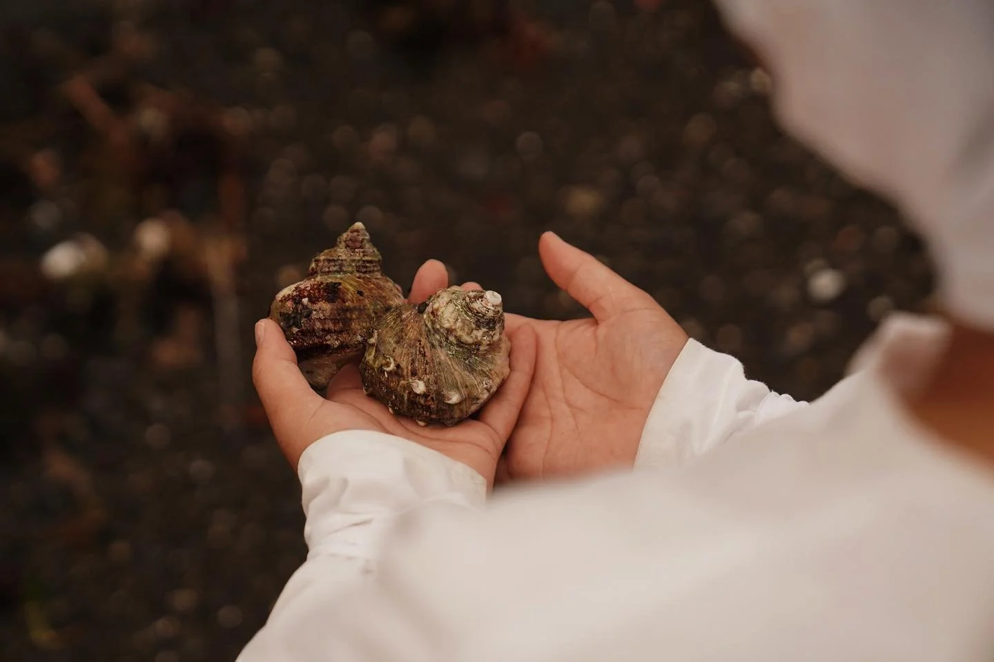 Ama diver Kaori Arai for @agobay.escapes 

#amadivers #agobay #japantravelphoto