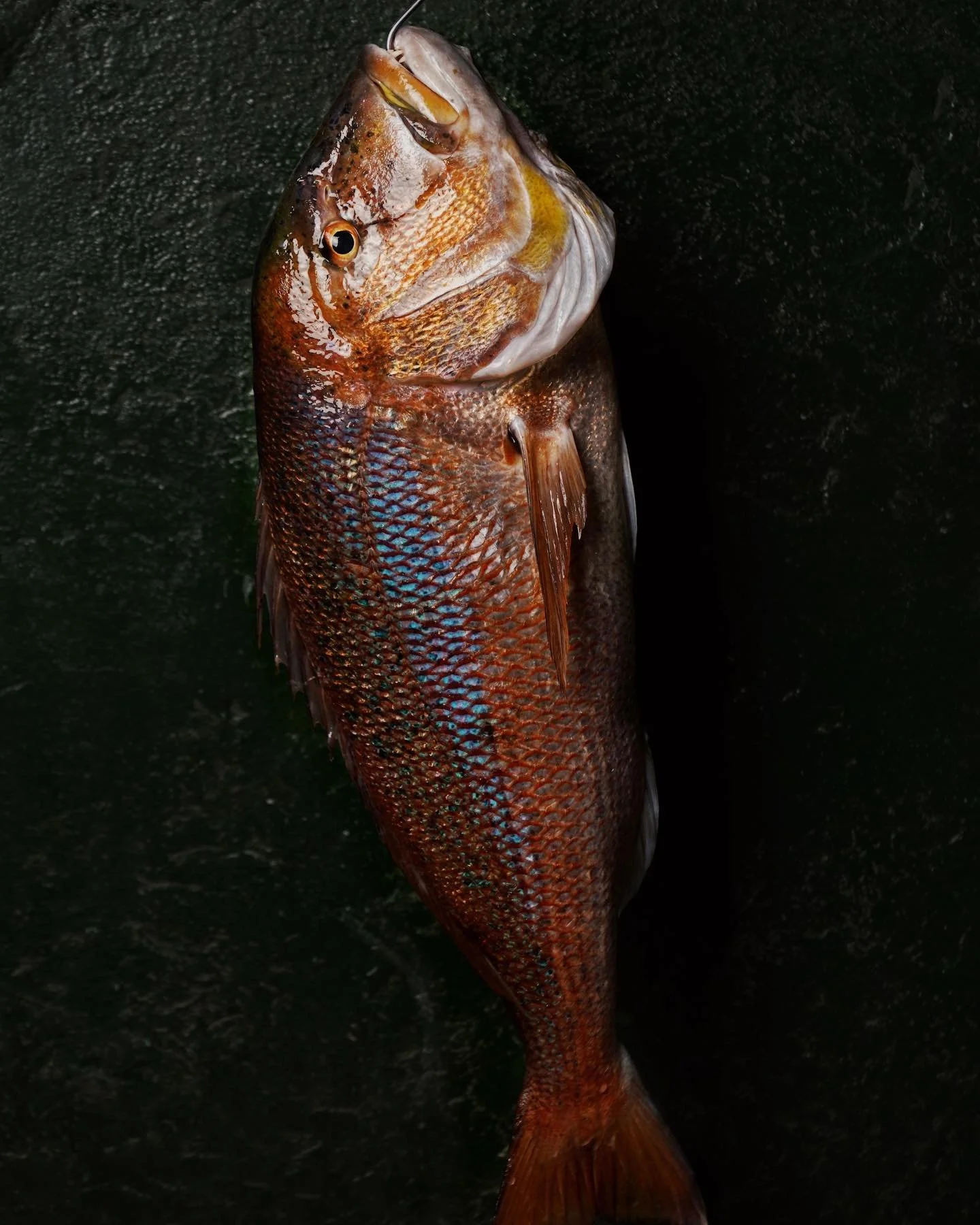 Fotos del producto fresco @the_wine_side 

#foodphotography #mallorcarestaurant #thewineside