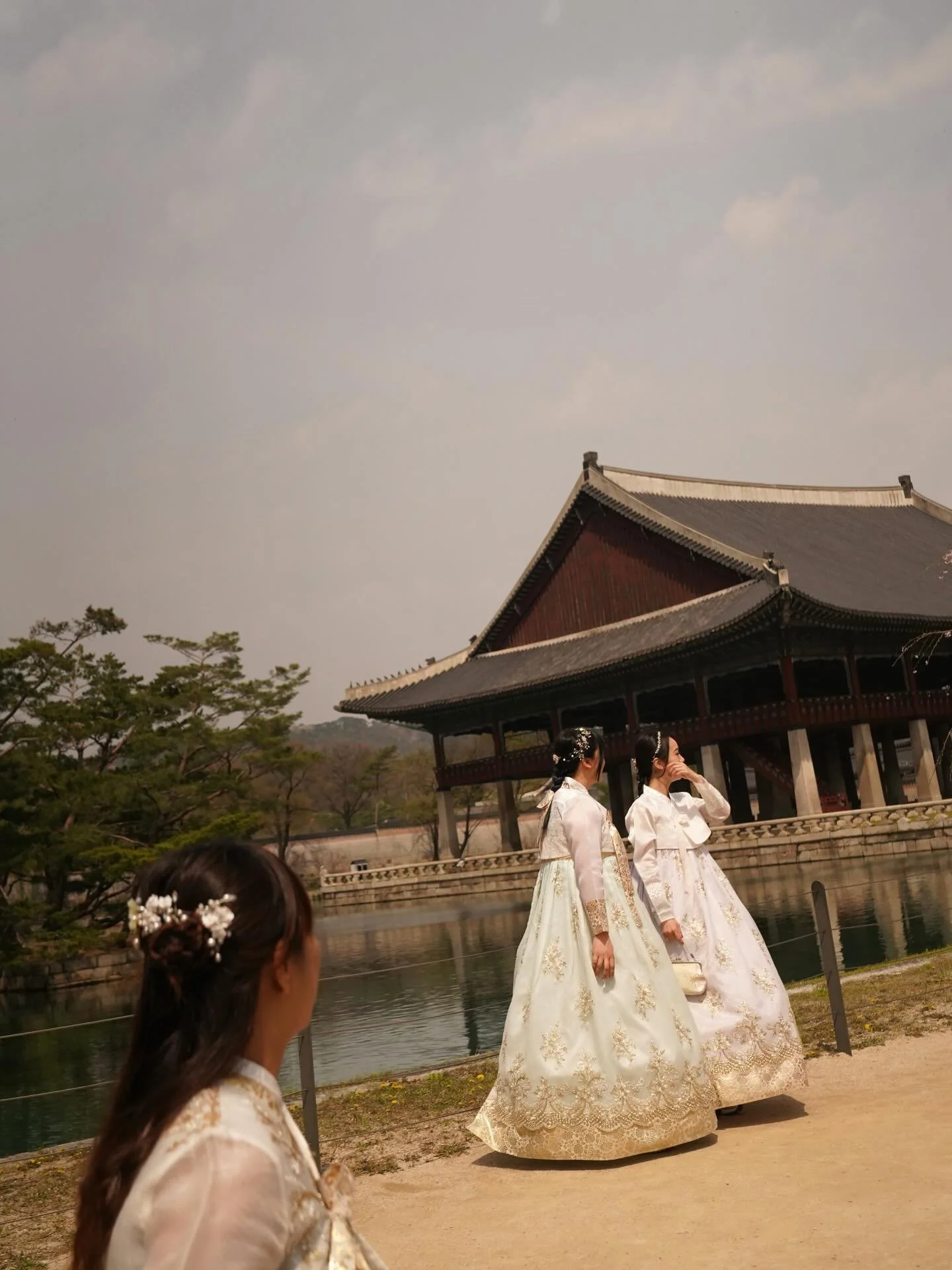 🇰🇷🇰🇷🇰🇷