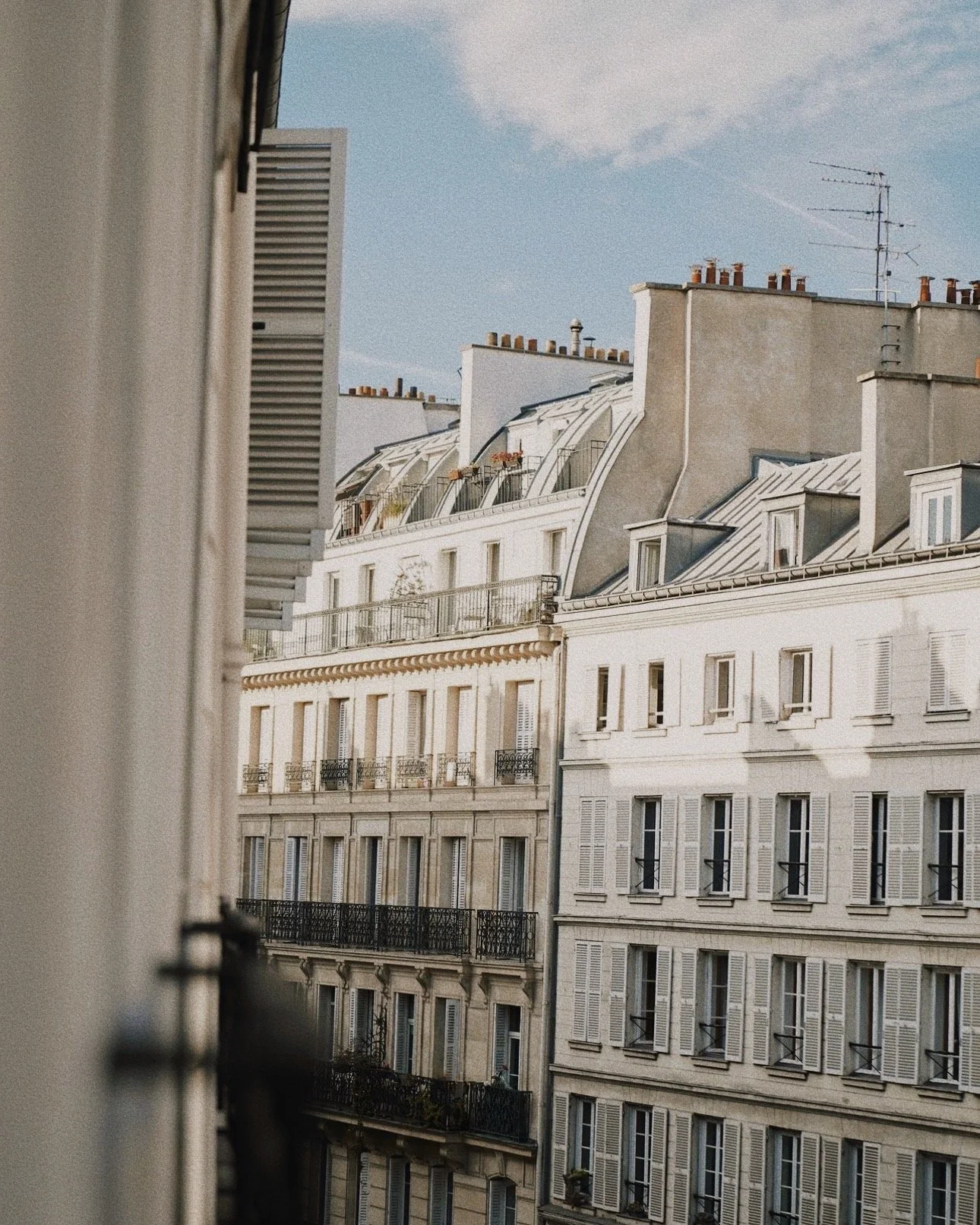 Hotel Pulitzer Paris — ALBA GINE