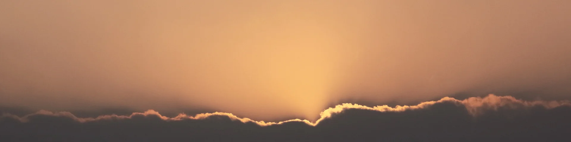 _MG_4692_banner.jpg