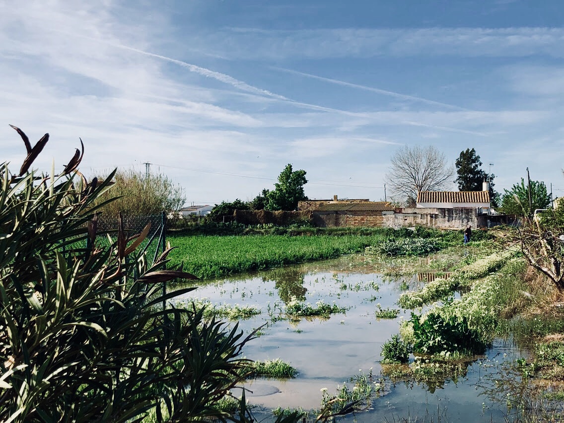 Ebrodelta 1.jpg