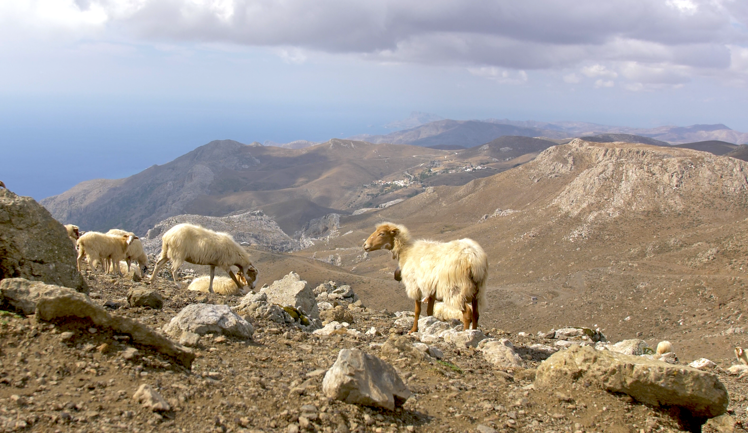 Western Asterousia Crete (Copy)