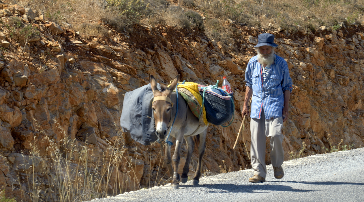 Man with donkey. Photo_ Richard Hammond_Green Traveller Media.png