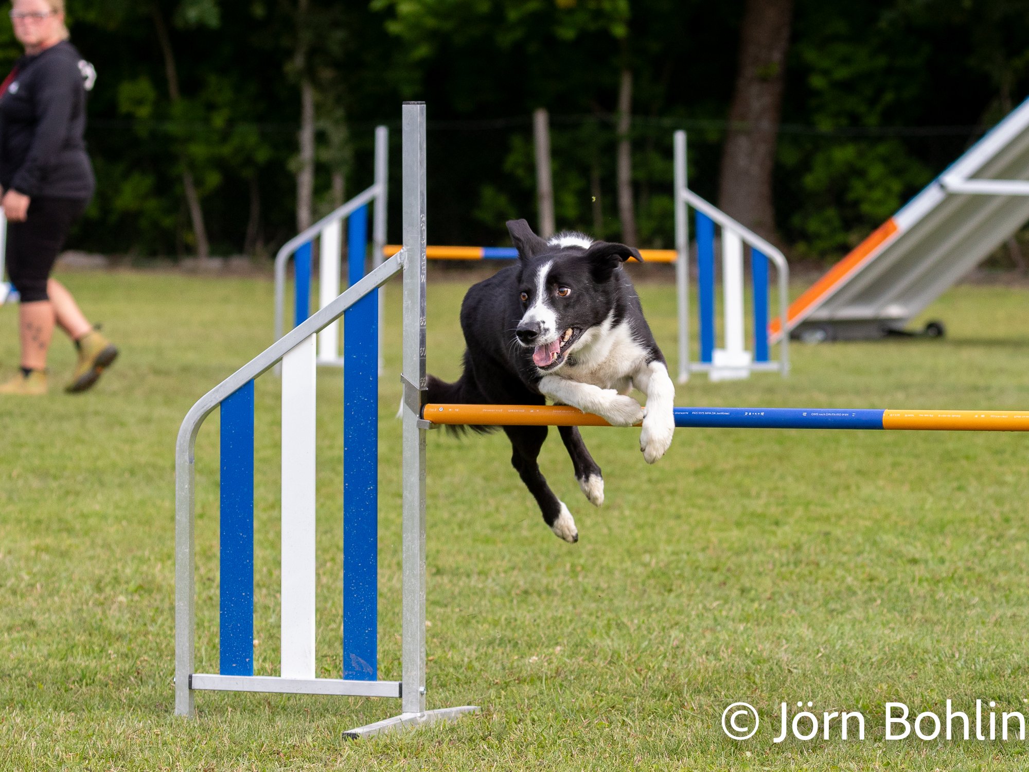 Jbfoto_agility-13529.jpg