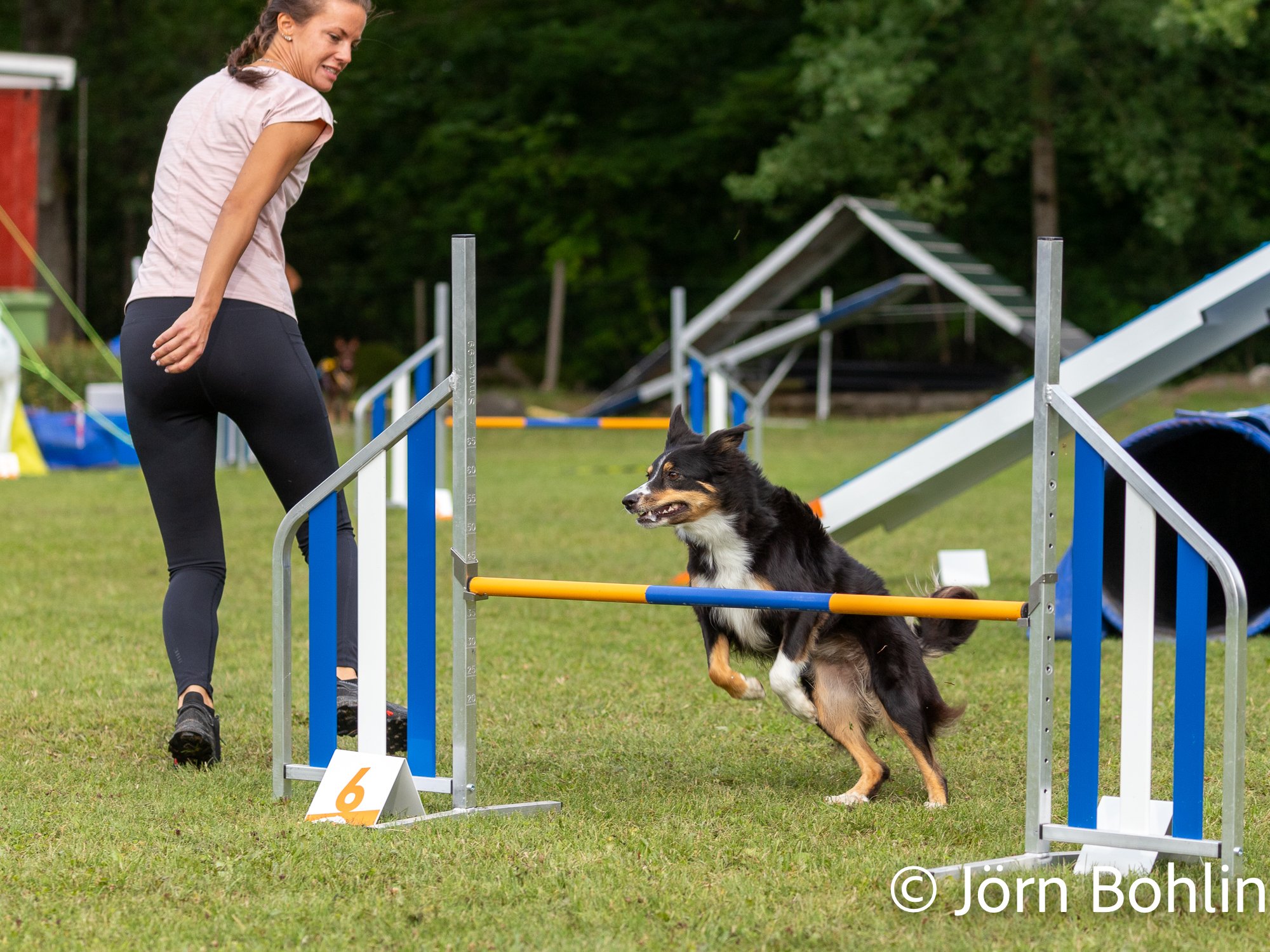 Jbfoto_agility-13597.jpg