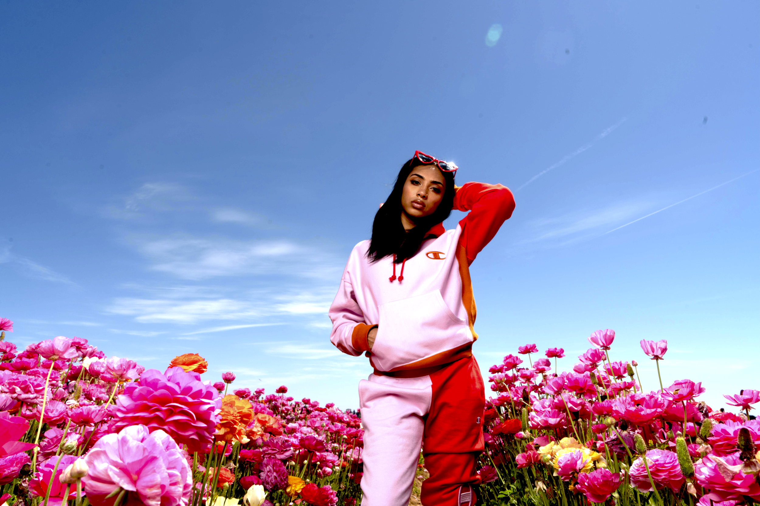 FLOWER POWER