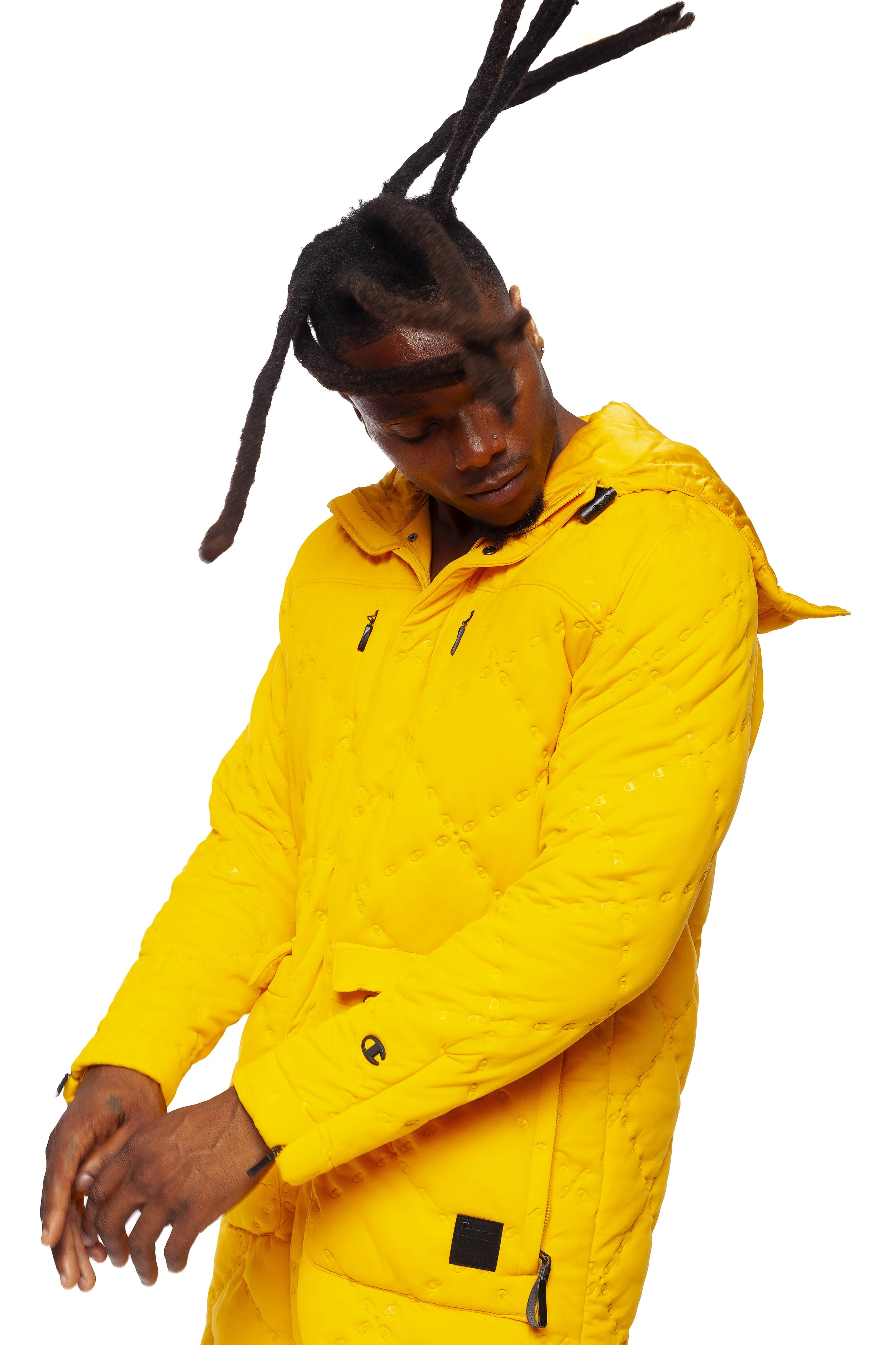 Yellowjacket5.jpg