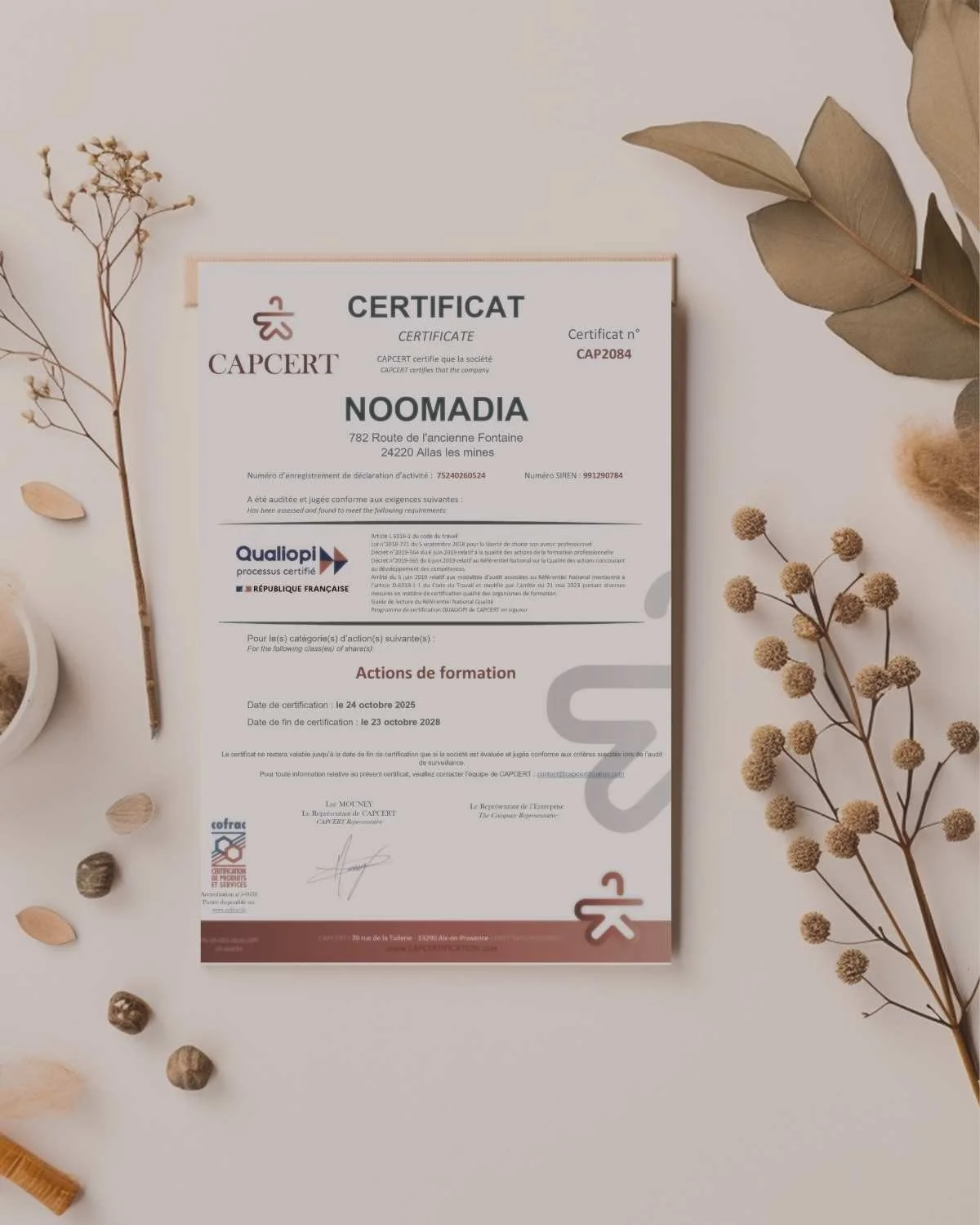 Certificat de formation avec décoration florale sèche autour, posé sur fond blanc